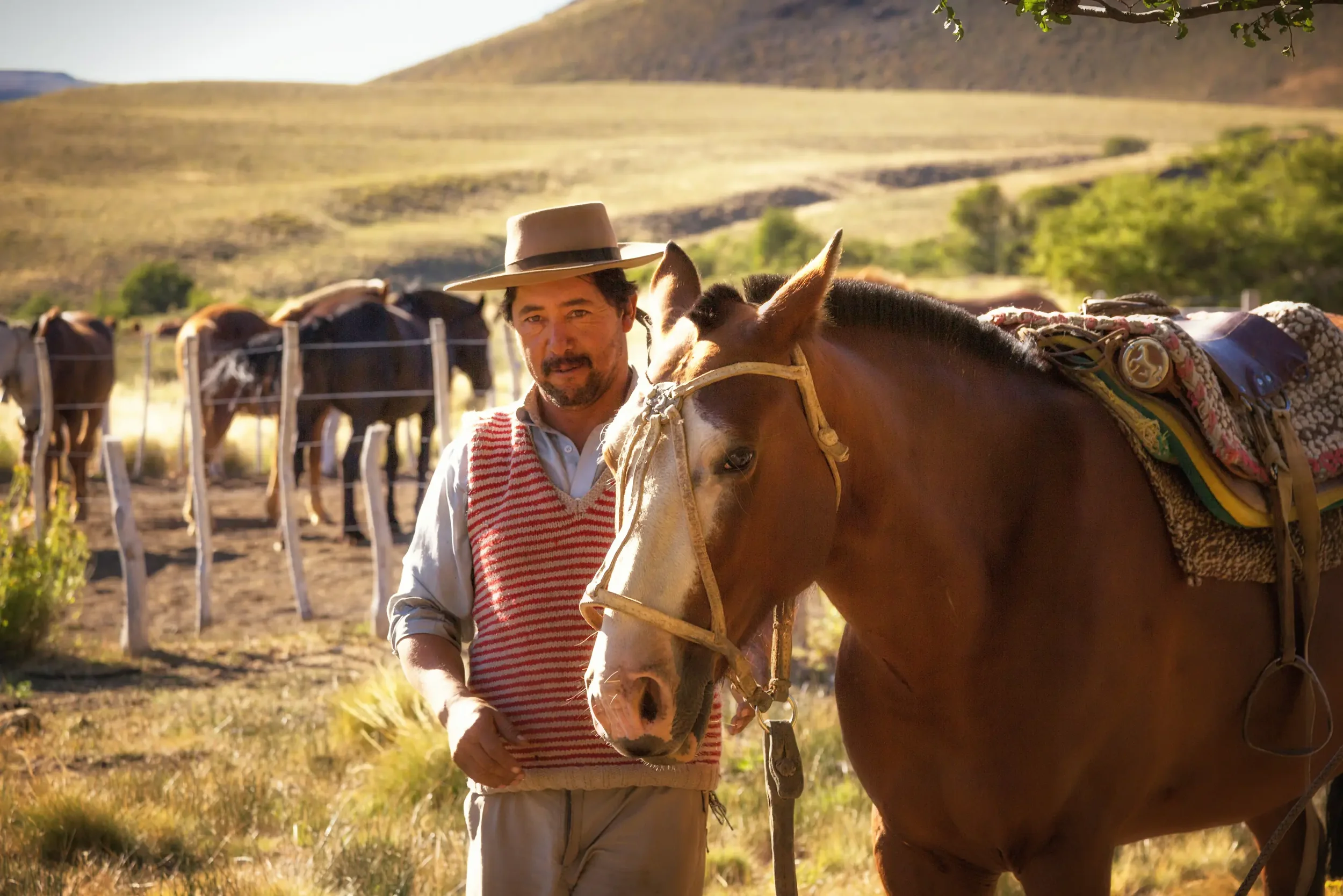 The Gauchos of Argentina