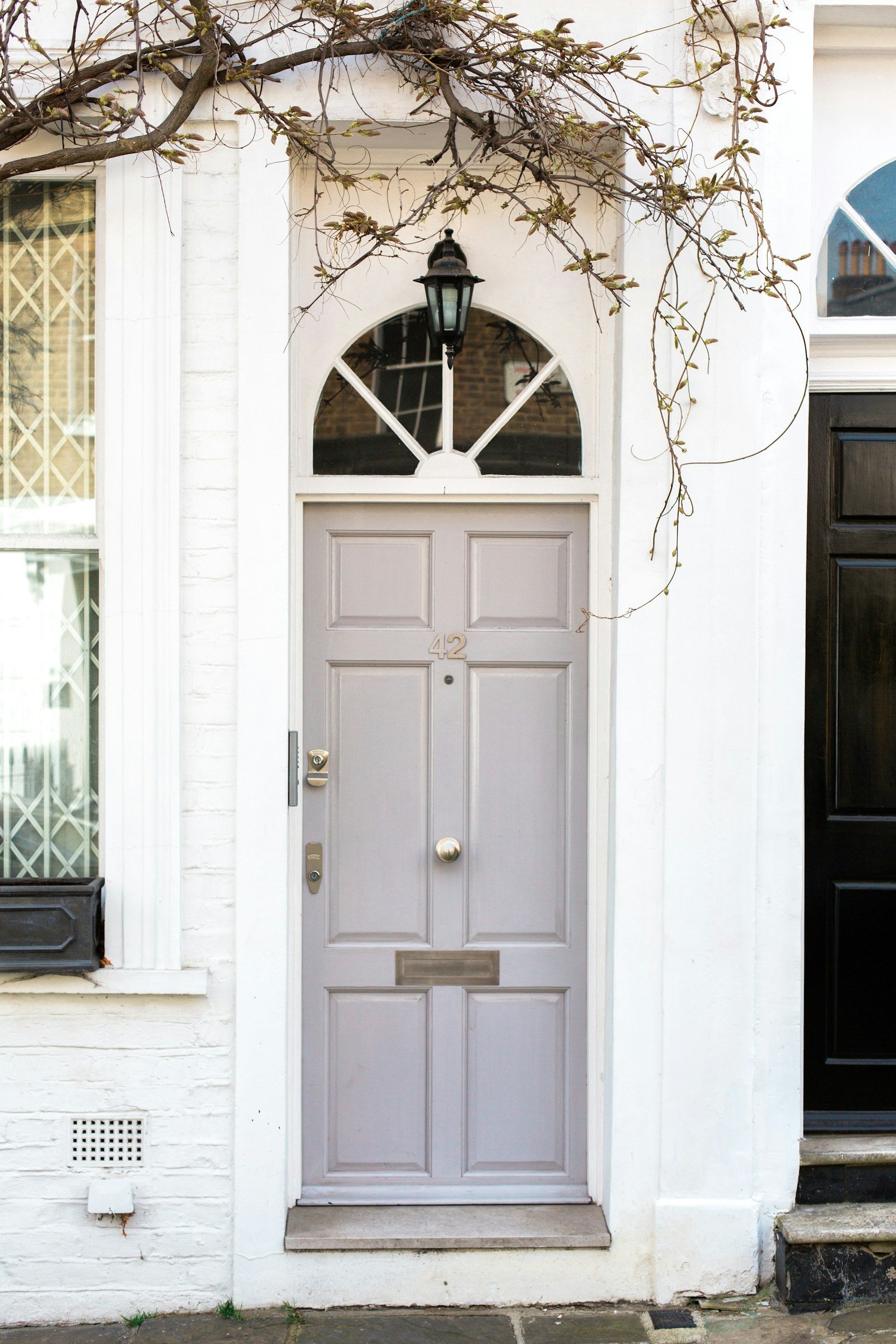 Front door with a light gray color, set into a white brick wall, with the house number 42 displayed above the door. A small step is in front of the door. To the left, a window with a white frame and diamond-patterned security bars. A black mailbox is below the window. To the right, part of a black door or window frame is visible. A vine with budding leaves is growing across the top of the scene.