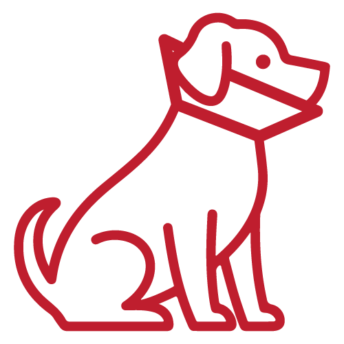 Outline drawing of a sitting dog with a collar on, in red lines.