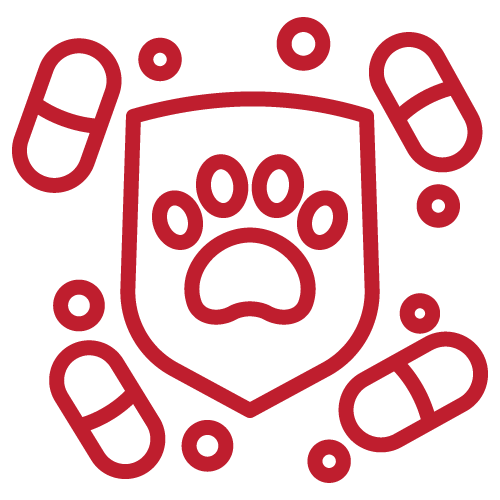 Outline of a dog paw print inside a shield with capsules and pills surrounding it.