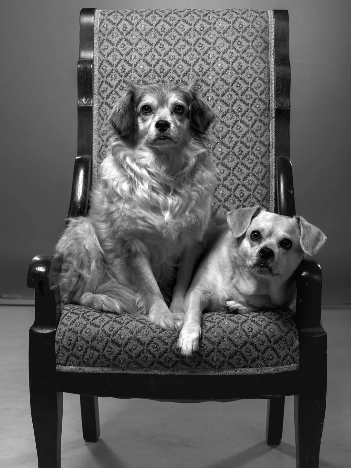 The Hub got a ✨ Spring Refresh ✨👀

New art pieces from the @rmyc_tbay project &ldquo;Teenage Mechanisms&rdquo; are up on various walls at the hub. For more information about the project, check out kamrynwoloschuk.com/teenagemechanisms. 

Come check 