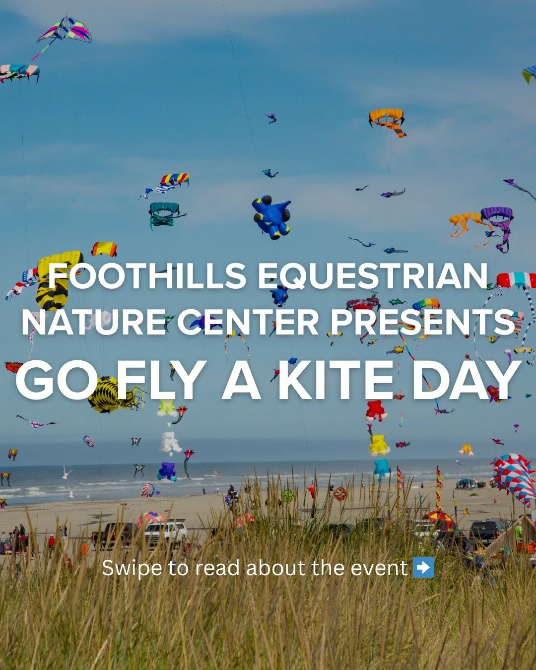 A windy March afternoon is the perfect excuse to step outside, look up, and enjoy a little simple joy.

Go Fly a Kite Day takes place March 29 from 12&ndash;3 PM at FENCE (3381 Hunting Country Rd, Tryon, NC), with free kites for the first 200 childre