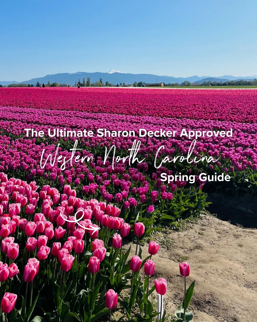 Planning a spring trip to Western North Carolina? Here are a few beautiful events and experiences worth adding to your list 🌷✨

Tap through for dates, save this post for your spring plans, and use the links to learn more about each event. Share this