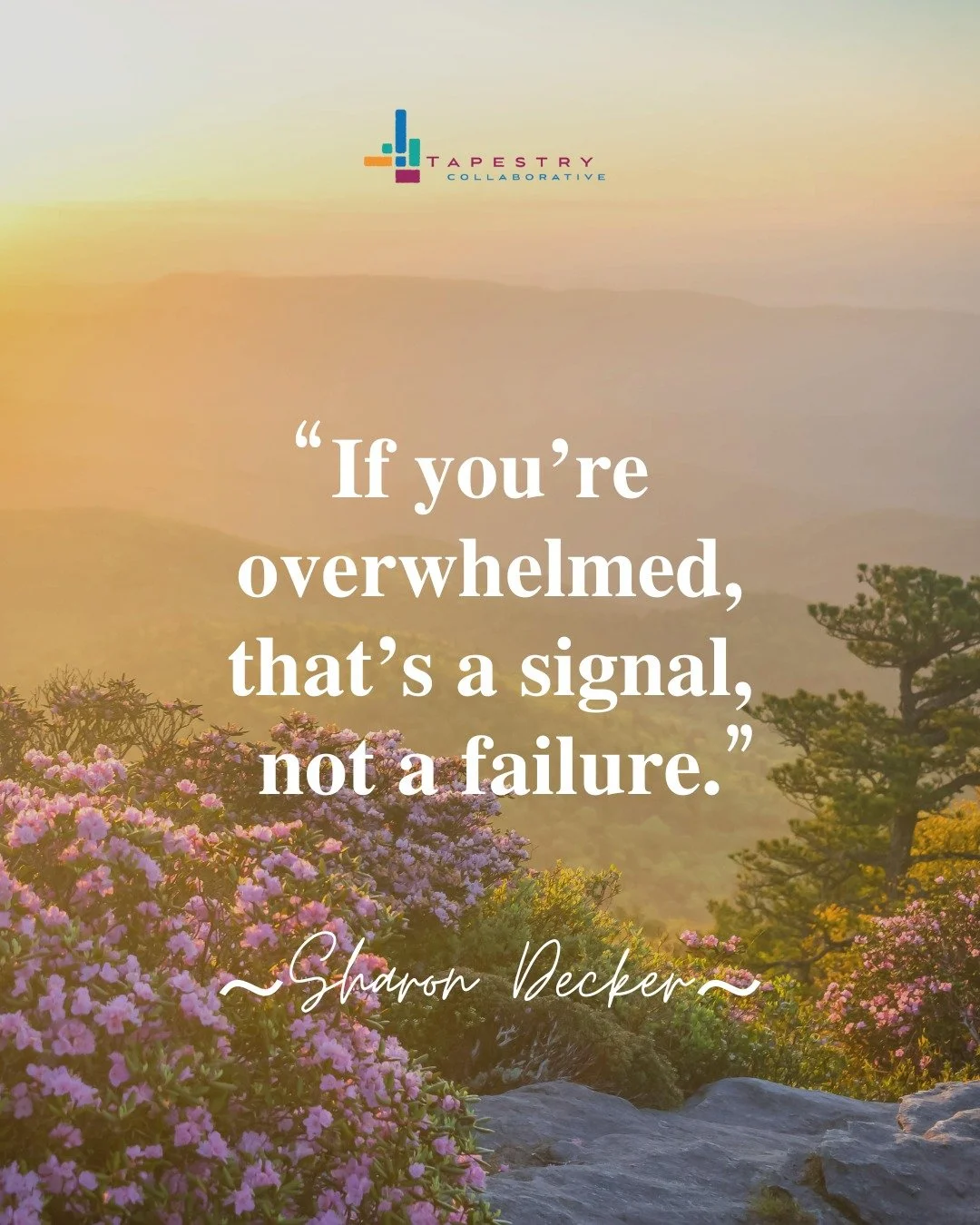 I&rsquo;m ending the week by sharing a few quotes that stayed on my heart and helped shape my thinking over the last several days. 

Sometimes the right words have a way of bringing clarity, encouragement, or simply a reminder of what matters most.

