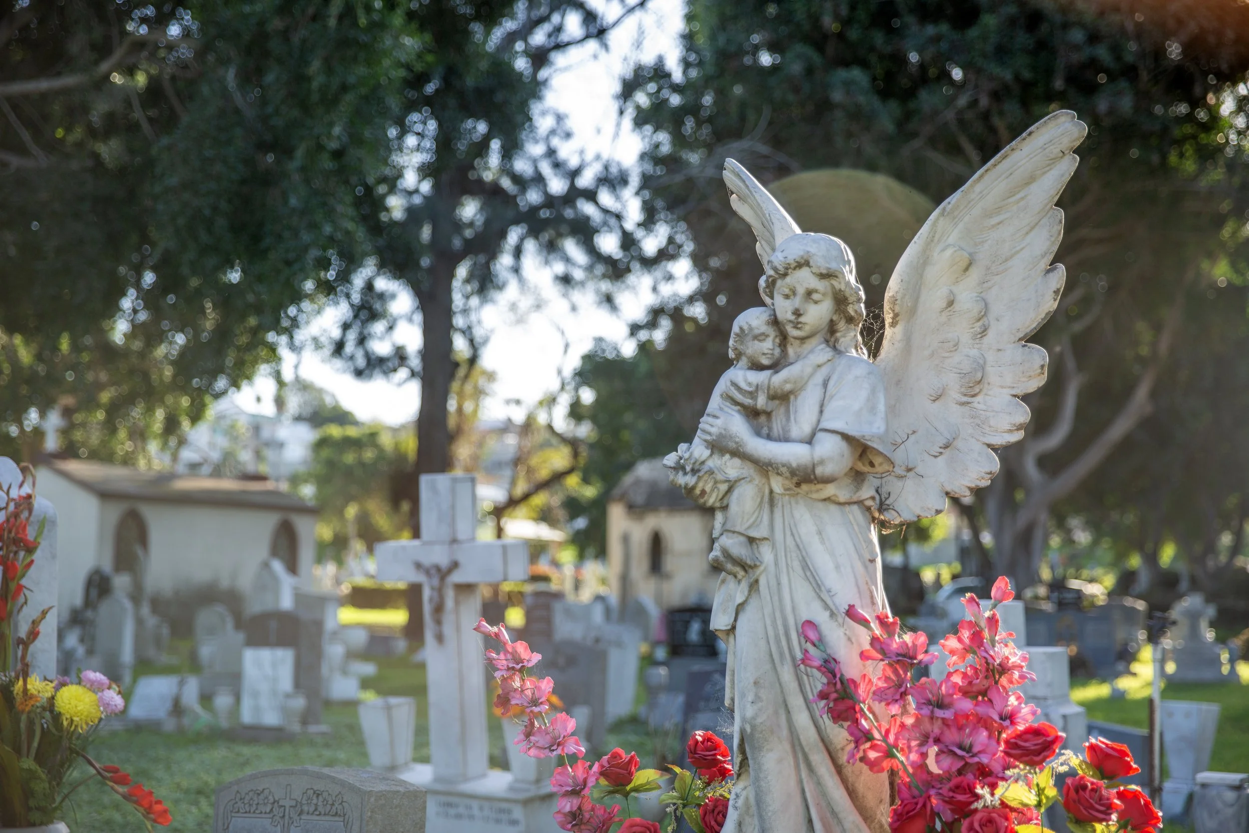 ABCD3180copy (1).jpg