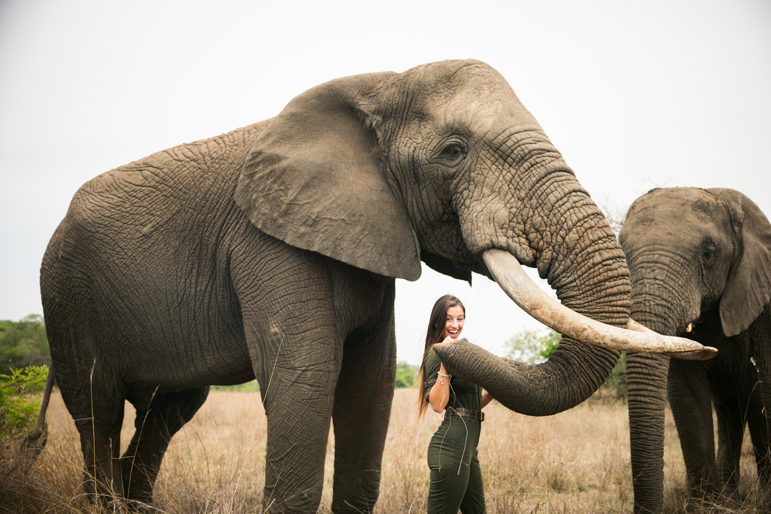 Lexie stands beside two large elephants in a grassy field, smiling and playing with the elephants.
