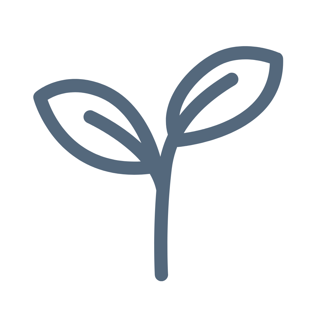 Outline drawing of a small plant or sprout with two leaves.