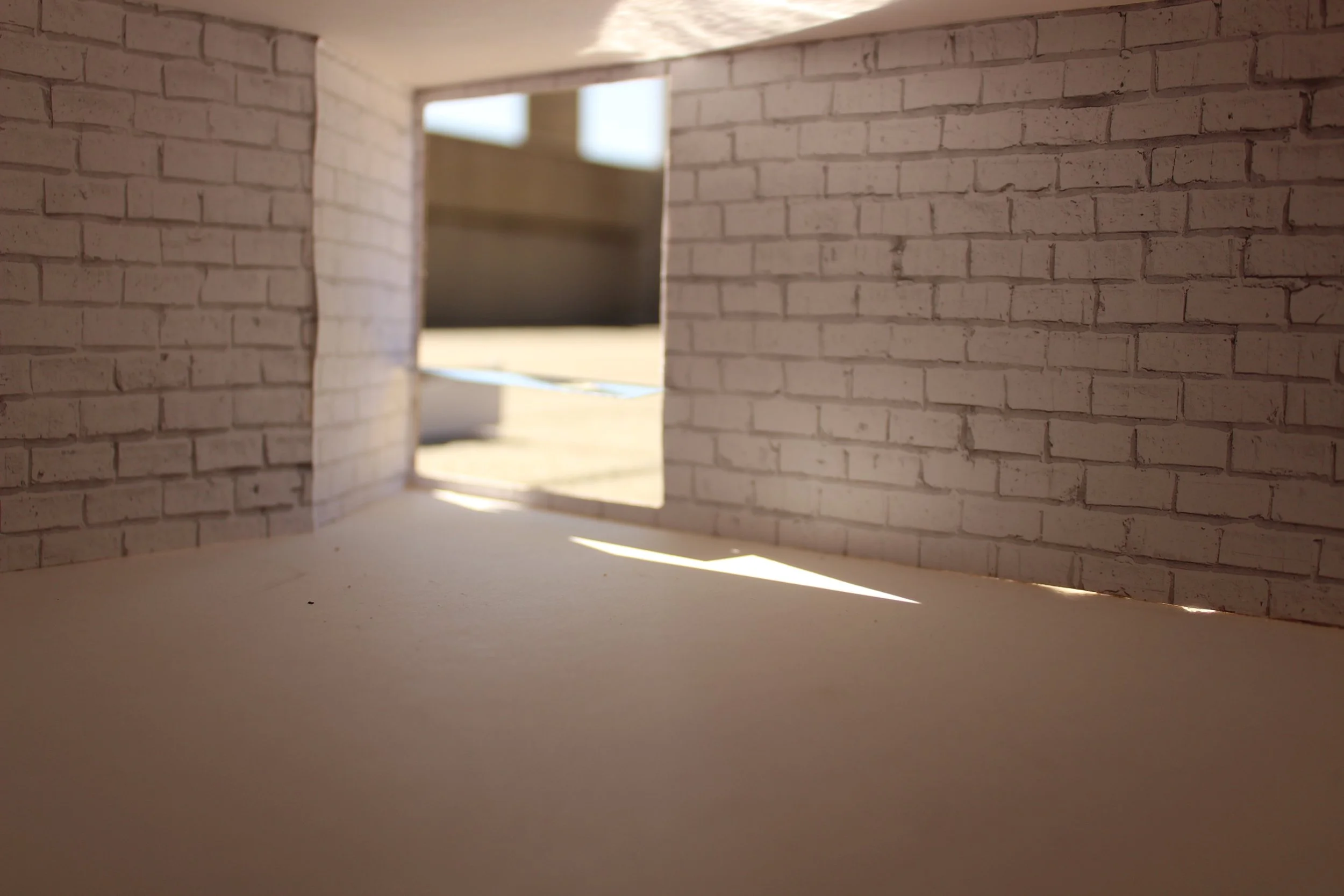 ISO 100 - Light Shelf - 4:00pm