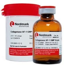 collagenase 2.jpg
