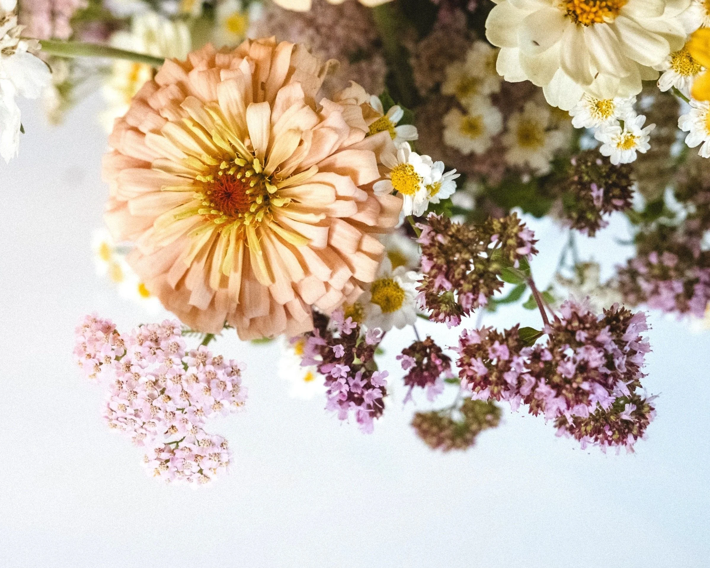 Assorted pink, white, yellow, and purple flowers viewed from below against a light sky background. Floret Dawn Creek Blush Zinnia, Oregano, Yarrow Summer Pastels. Garden-Style arrangement.