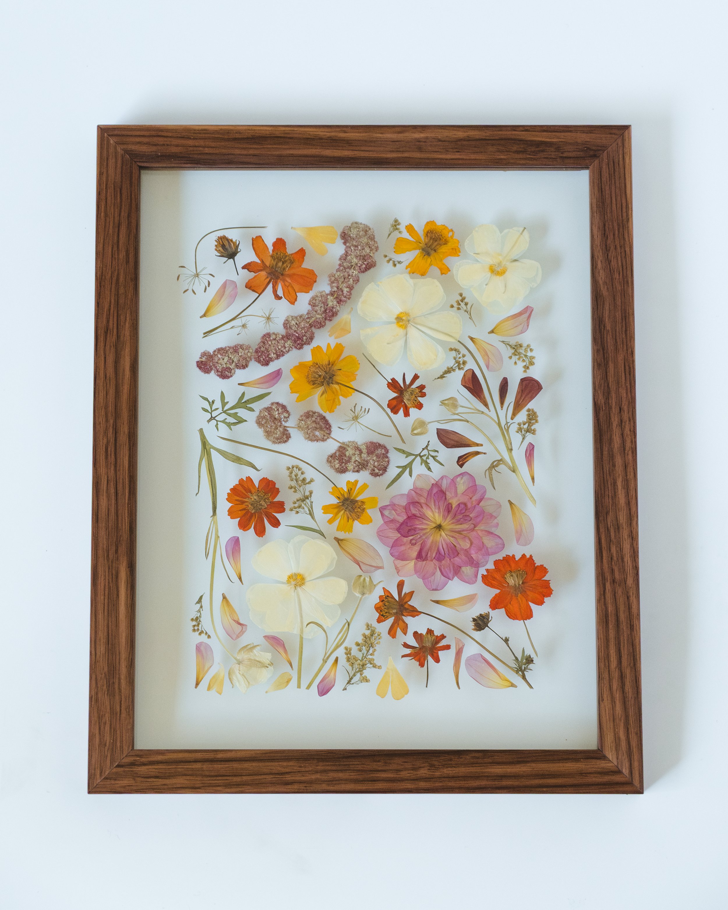 Framed artwork of dried pressed flowers against a white background.