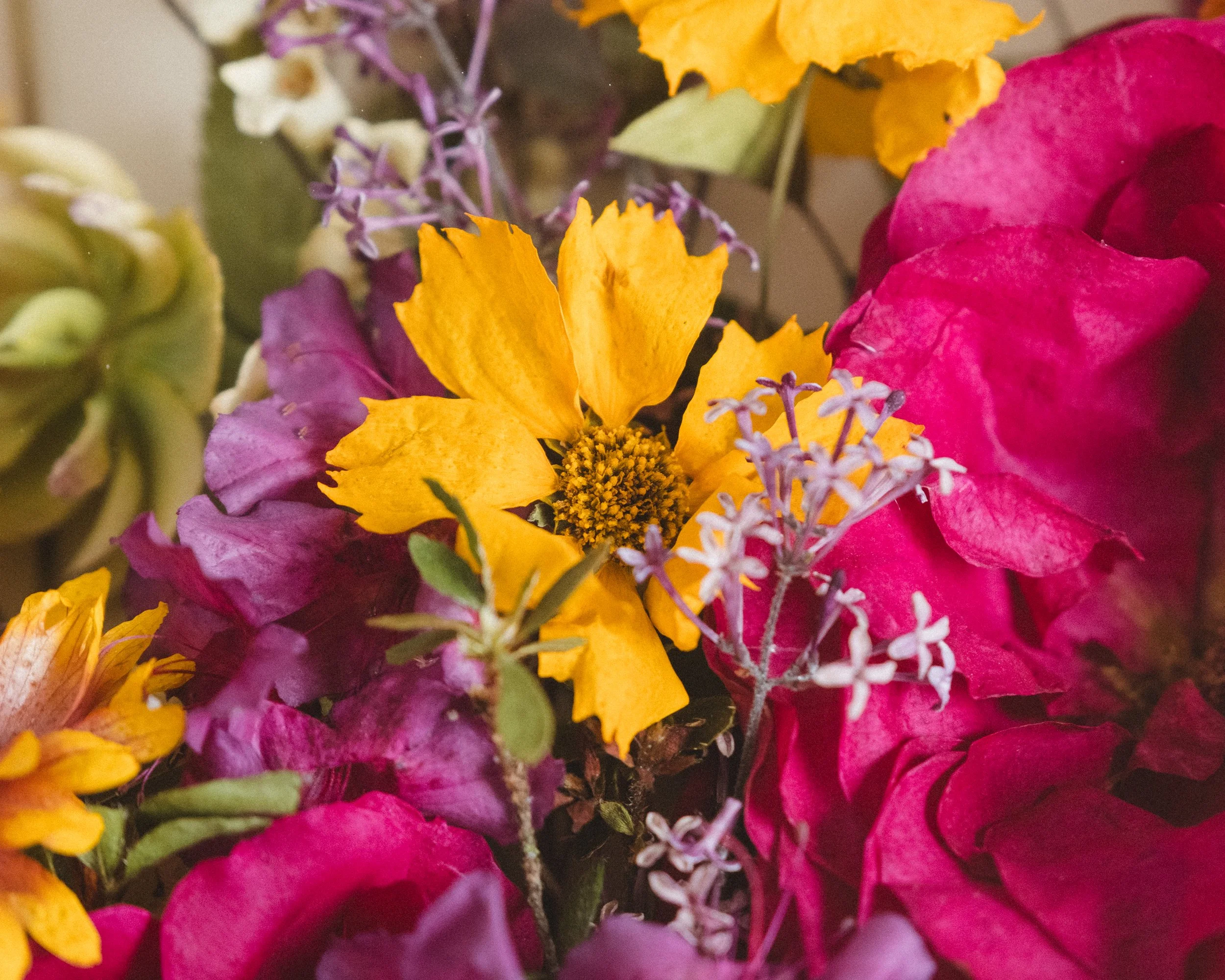 FF_9-11-25-6 (1).jpg