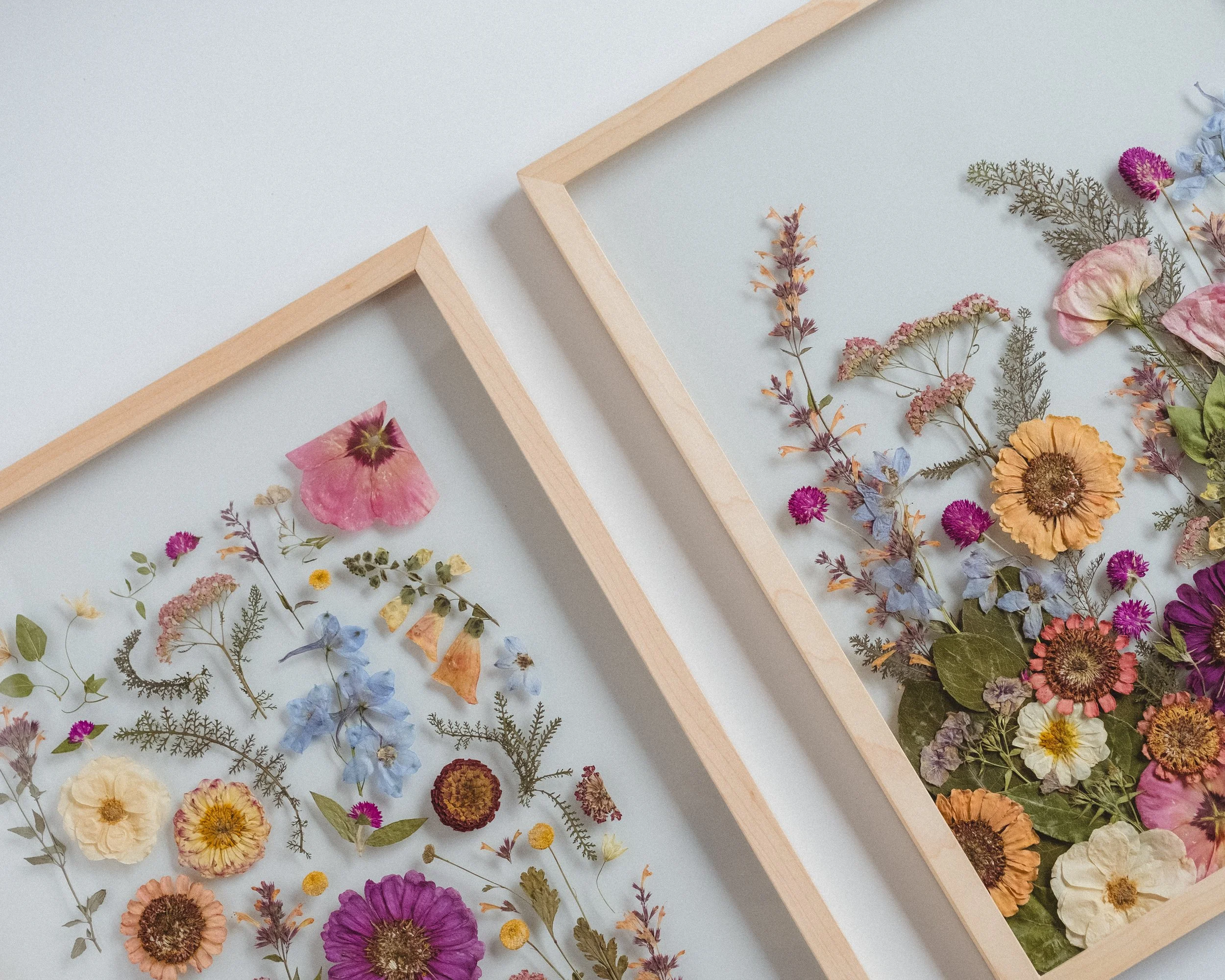 Two wooden floating frame fine art preservation pieces containing pressed and dried colorful garden flowers arranged on a white background.