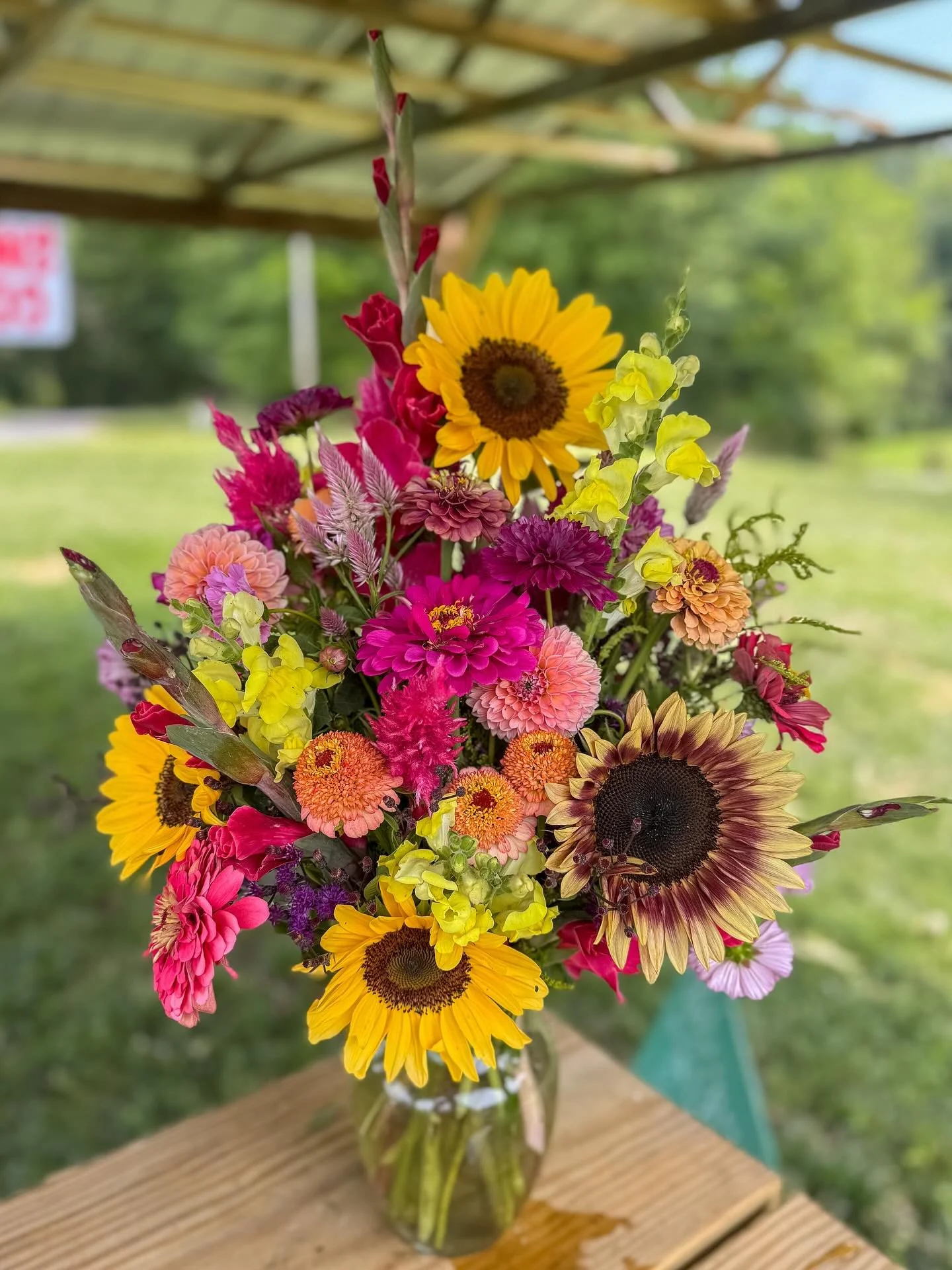 Flower Power Tuesday 🌼🌸