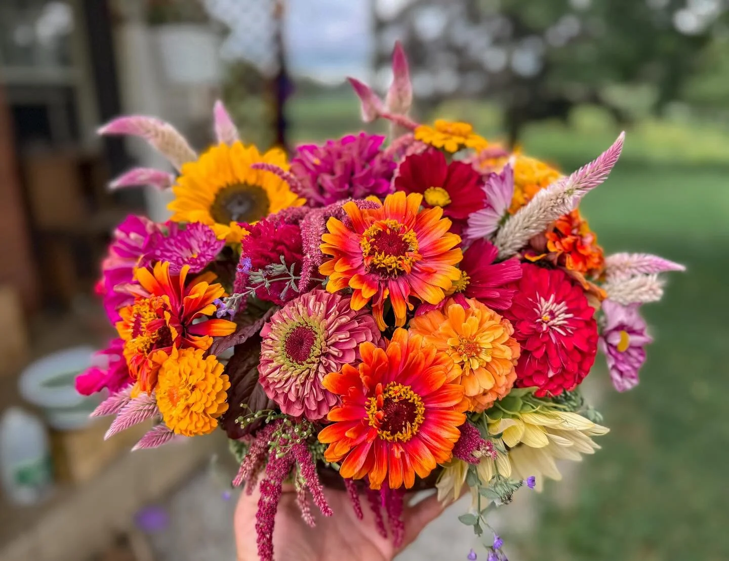 Today&rsquo;s Creation 💛💜🧡🩷 with @stimmell.homestead sunnies and amaranth 🥰