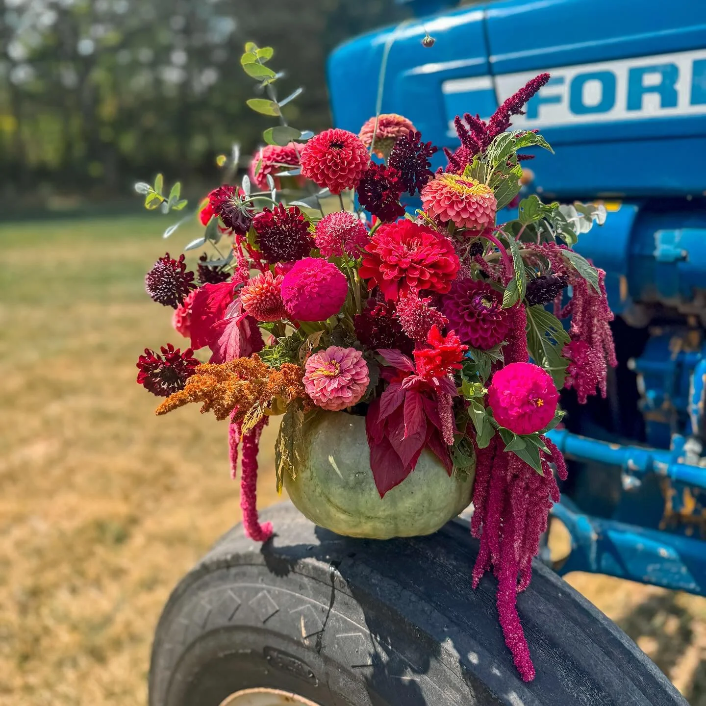 Pumpkin Arrangement with the most amazing amaranth &amp; scabiosas grown by @stimmell.homestead ❤️❤️