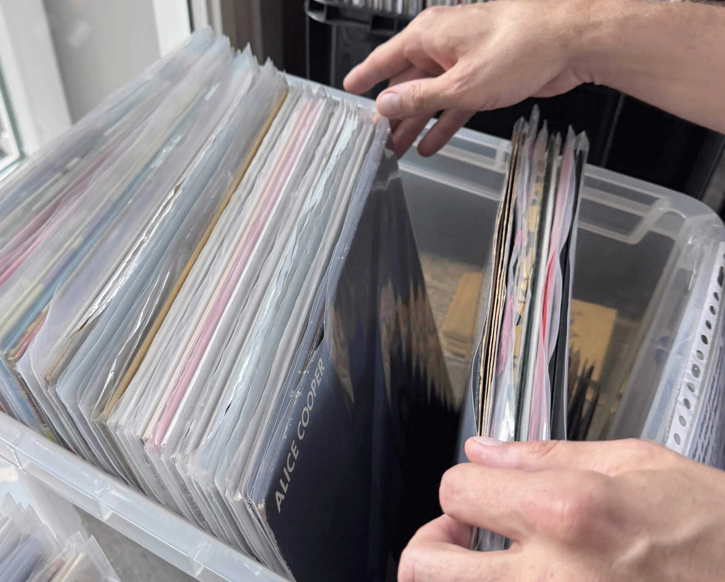 A person is browsing through a collection of plastic sleeves containing trading cards or photographs, with the label 'ALICE COOPER' visible on one of the sleeves.