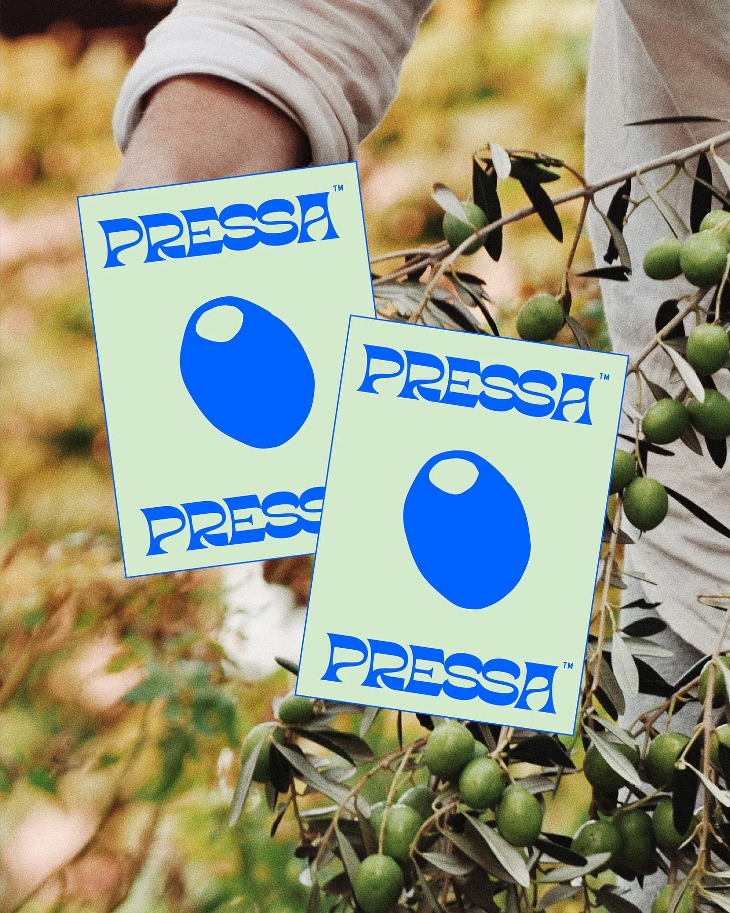 CLIENT SPOTLIGHT - PRESSA 🫒 Greek olive oil! I love when clients come with a bold vision and Patrick did just that. He was a big fan of my Oolio project and because that was a passion project and not a real brand, I was able to borrow so much from i