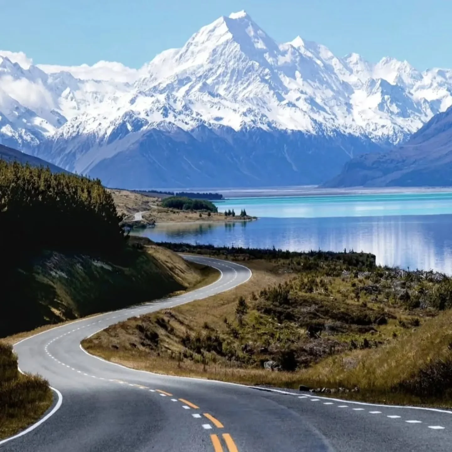 [OUT OF OFFICE]

Consultation bookings will reopen mid December - stay tuned🔆

New Zealand, here we come - finally! 😎🏔🗺

As usual, I&rsquo;ll be off social media while on vacation. Catch you in a few weeks! ✌️

#vacationmode #newzealand #naturelo