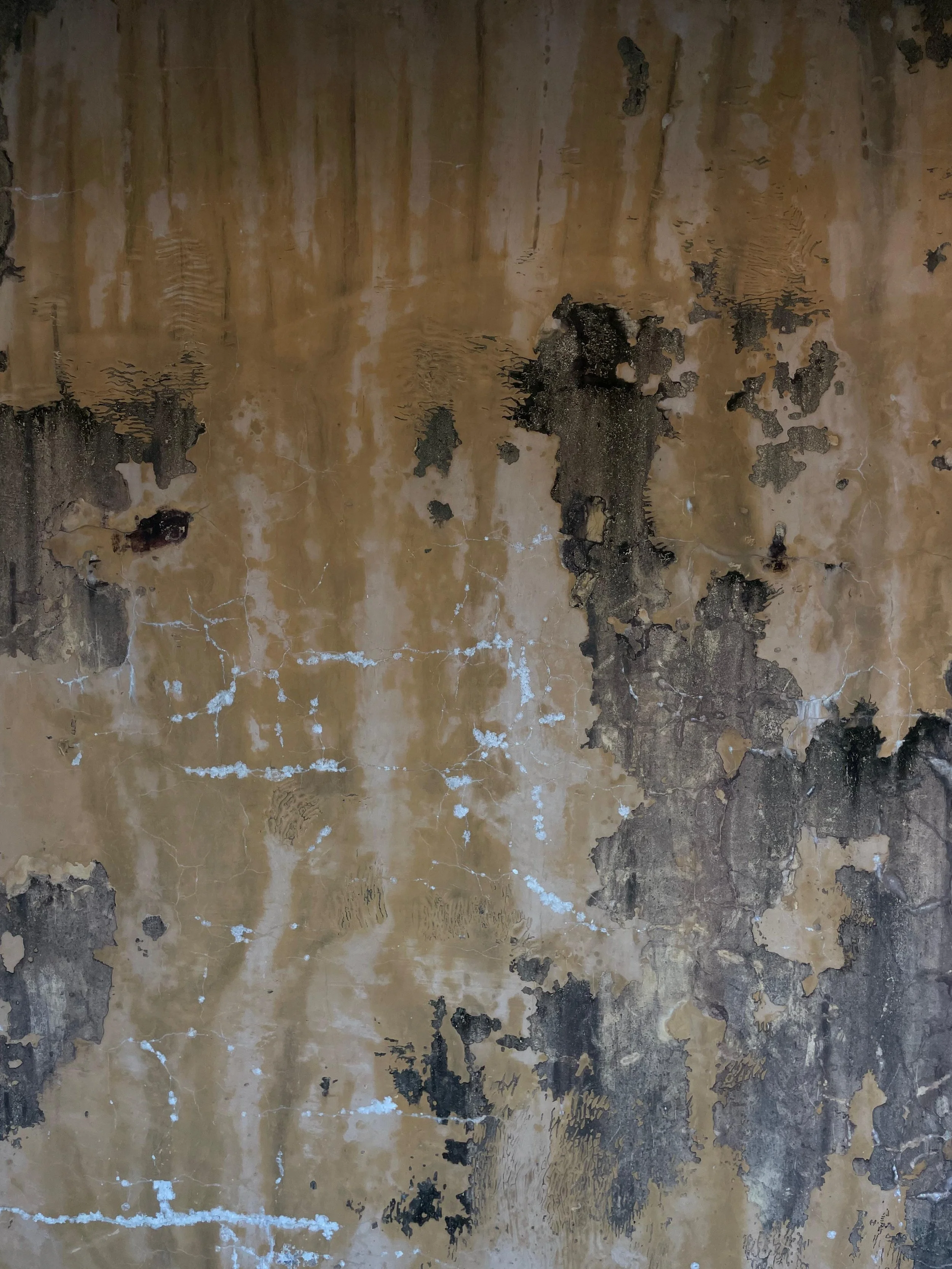 An Opening Note for my Website