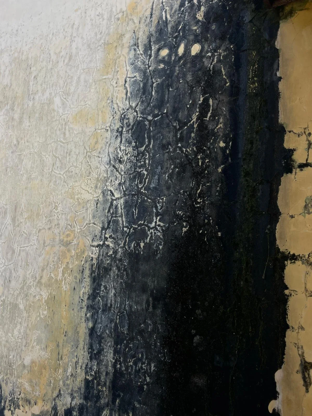 Mountains, Plastic, and the Weight of Stories