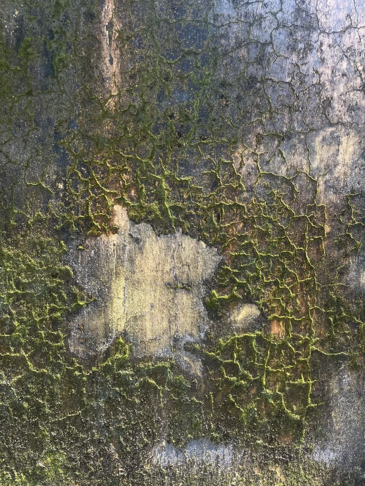 Between Progress and Presence: Learning to Feel in an Age of Efficiency