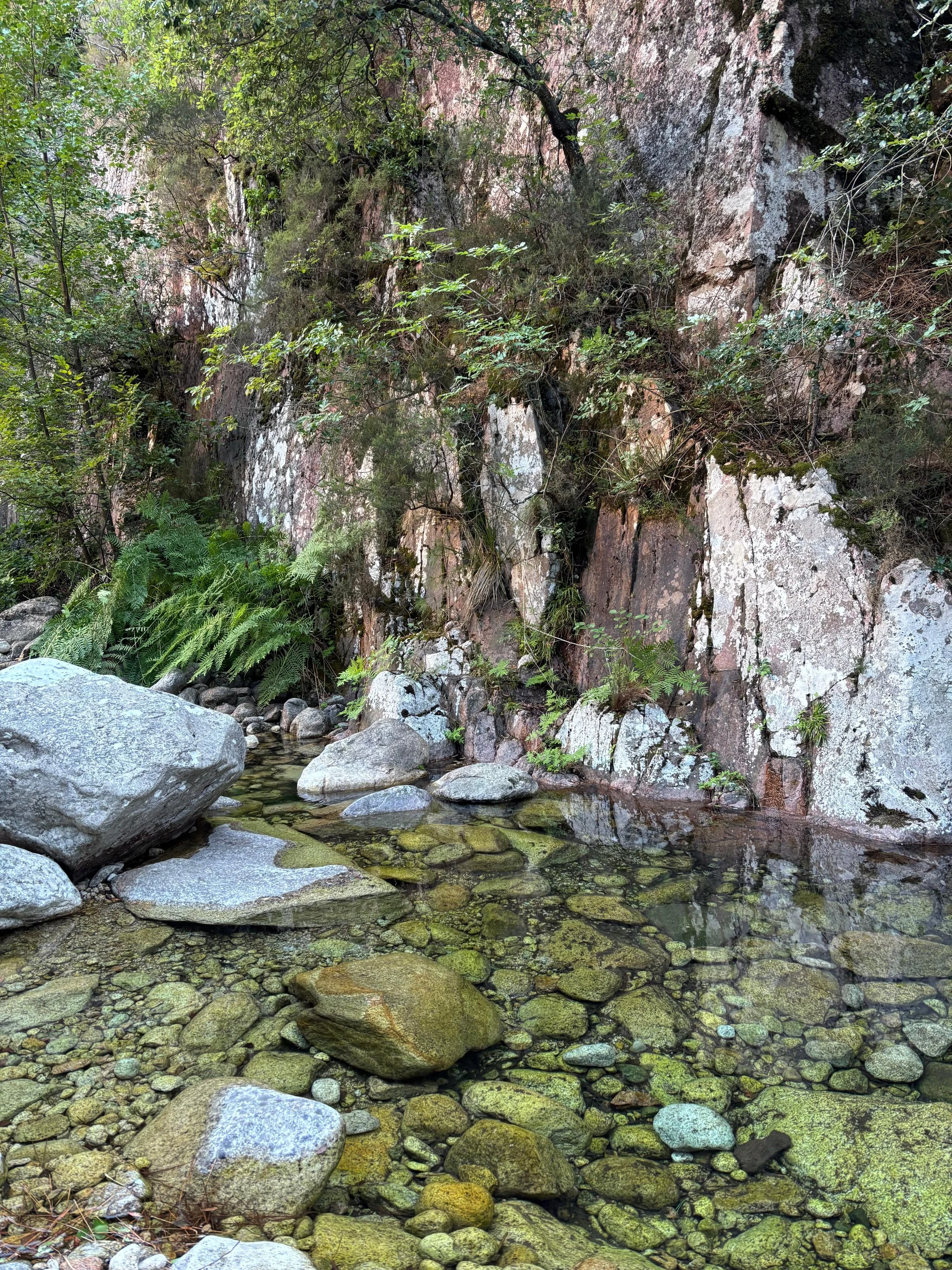 How Words make Worlds