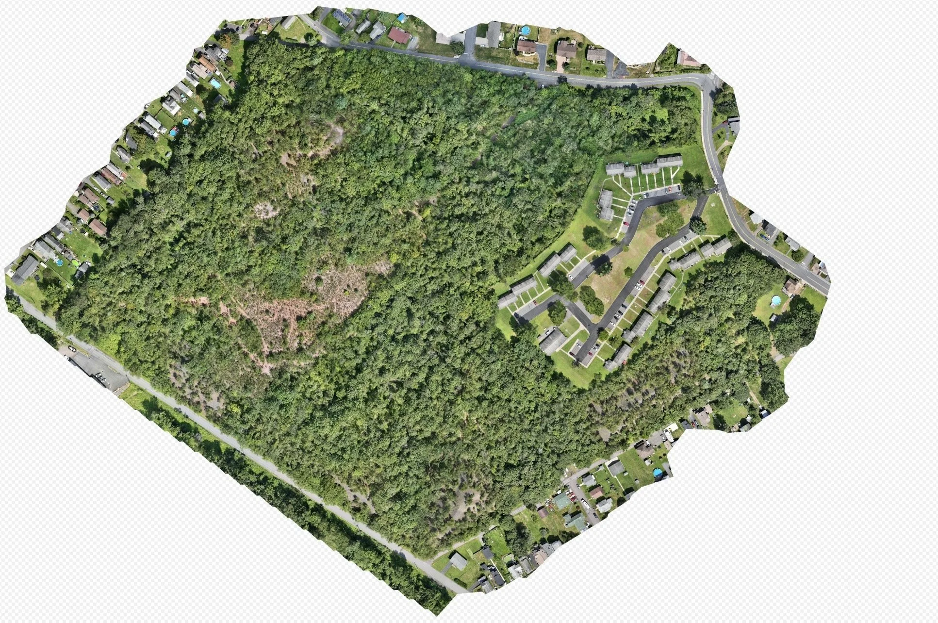 01 | Orthomosaic Site Overview
A stitched aerial view brings roads, buildings, vegetation, and site access into one detailed picture.