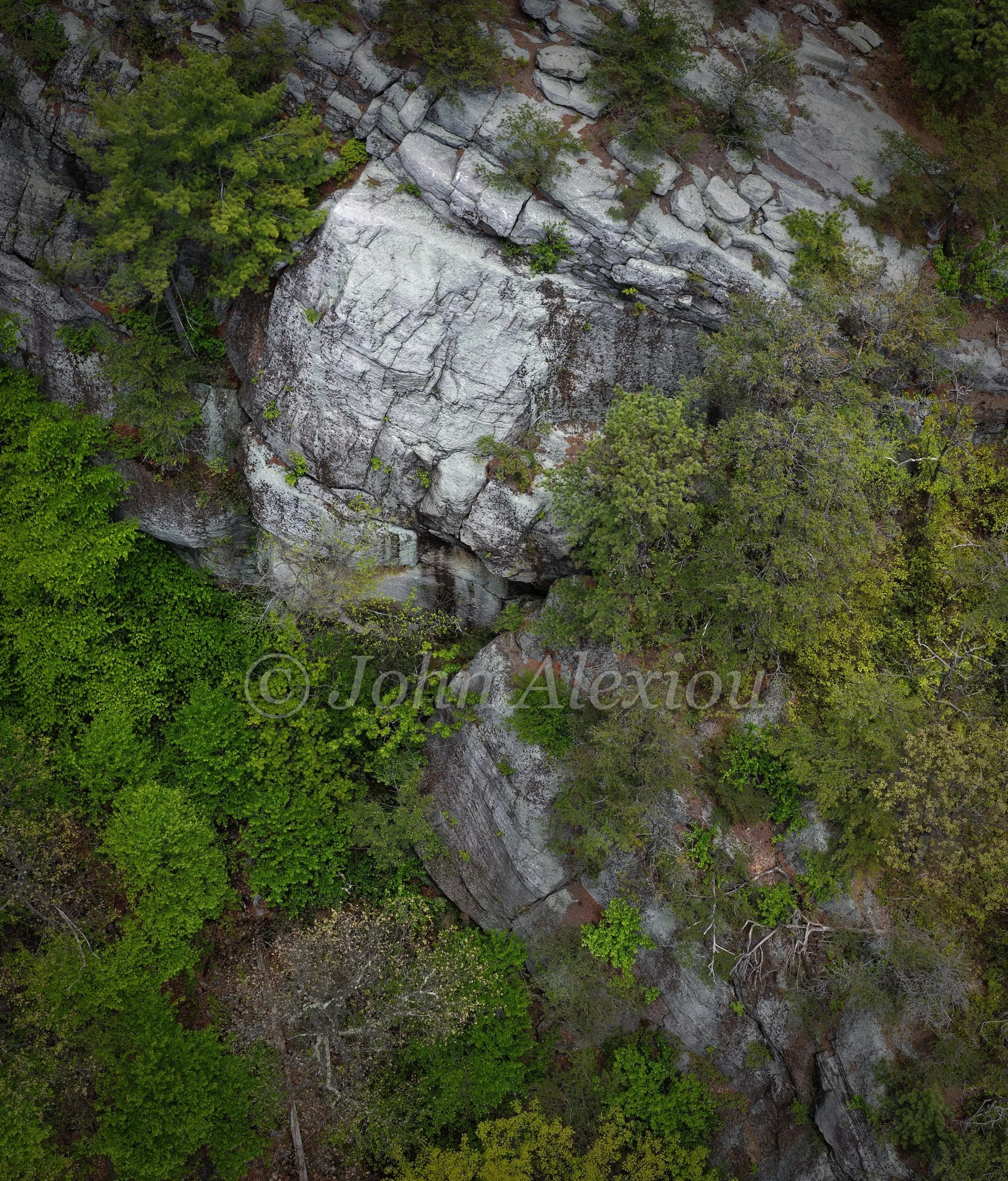 13 · Room to Grow: Green foliage gathers around a tall fractured rock face.

© John Alexiou · 2025 · Mocanaqua