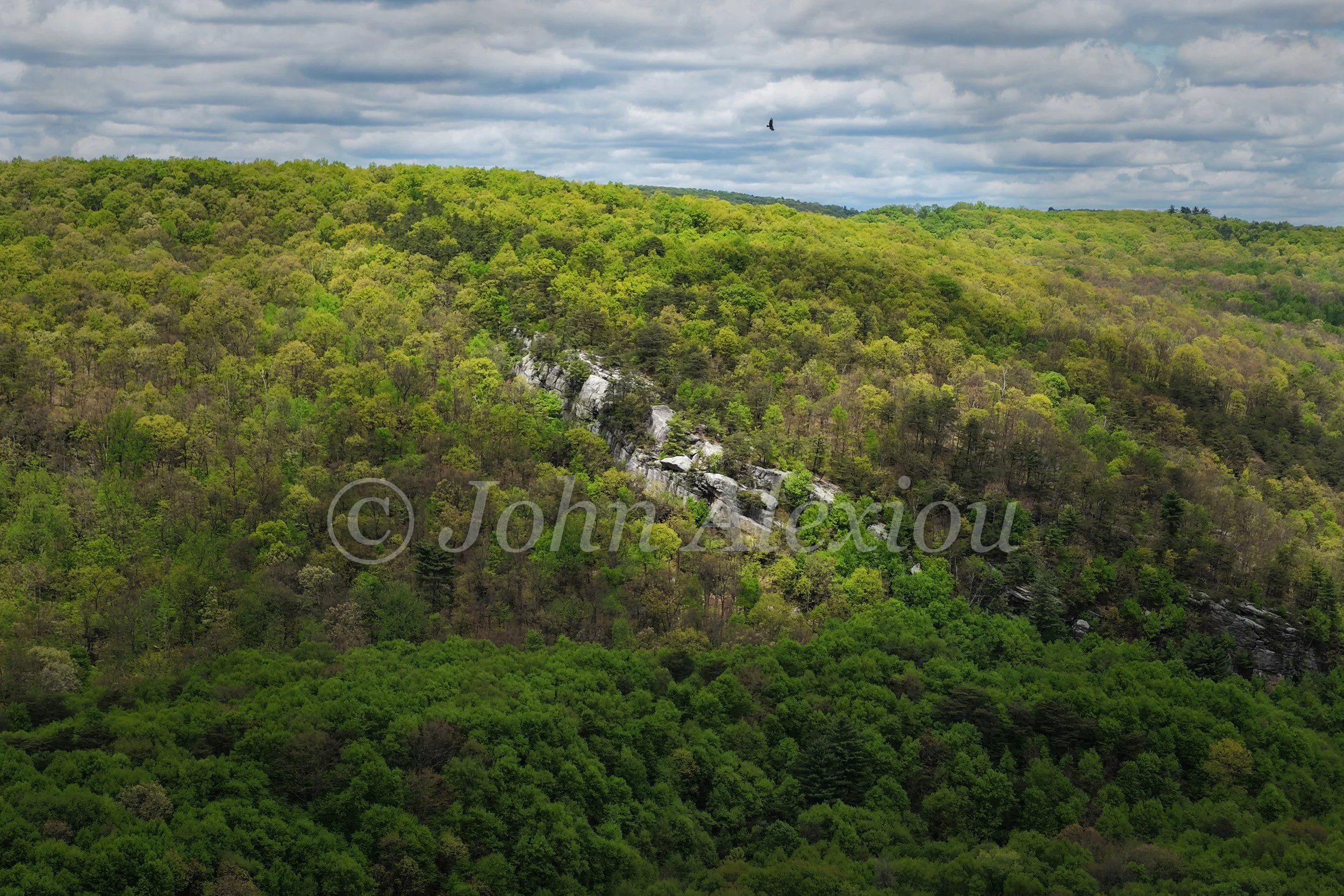 15 · The Forest Is Coming Back: Green woodland spreads across the hills around a pale rock outcrop beneath clouds.

© John Alexiou · 2025 · Mocanaqua