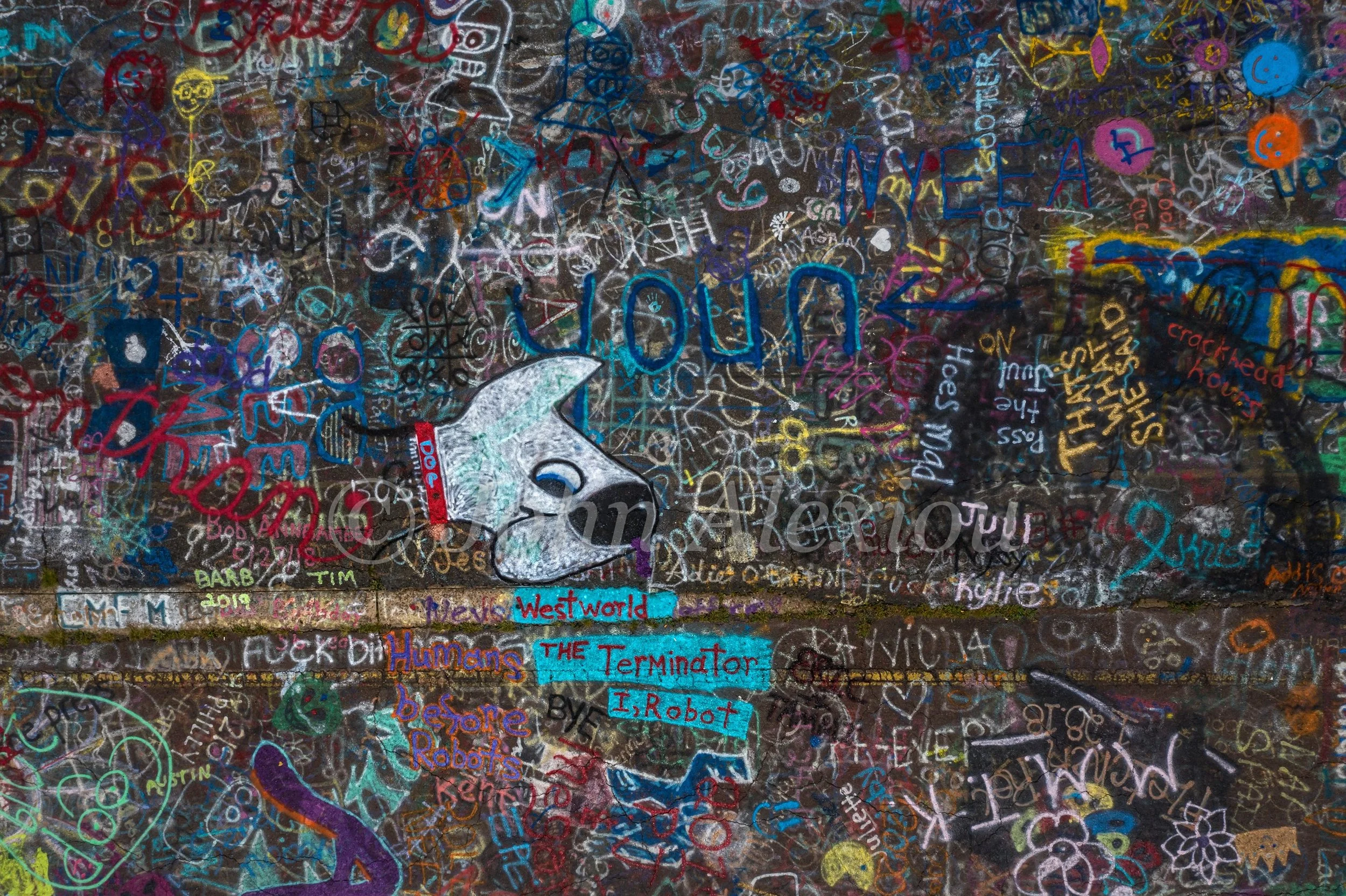 09 · A Familiar Face: A white dog mural surrounded by handwritten names and colorful painted marks on Graffiti Highway, Centralia, Pennsylvania, 2019. Reviewed presentation version.

© John Alexiou · 2019 · Centralia