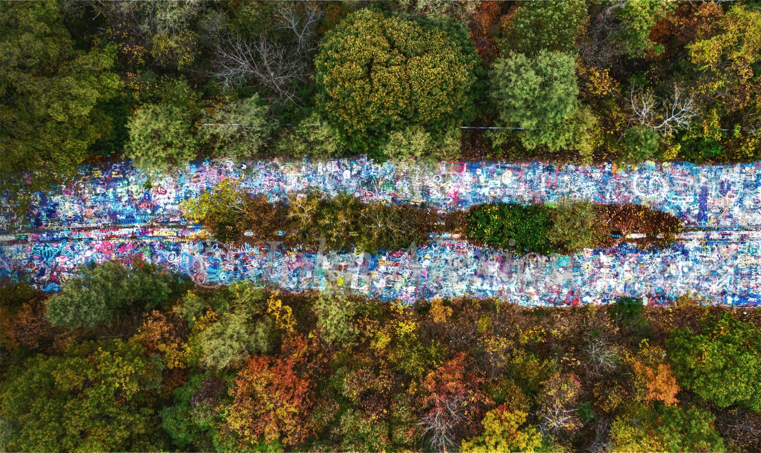 11 · The Forest Returns: An overgrown median divides graffiti-covered lanes in Centralia, Pennsylvania, 2019.

© John Alexiou · 2019 · Centralia