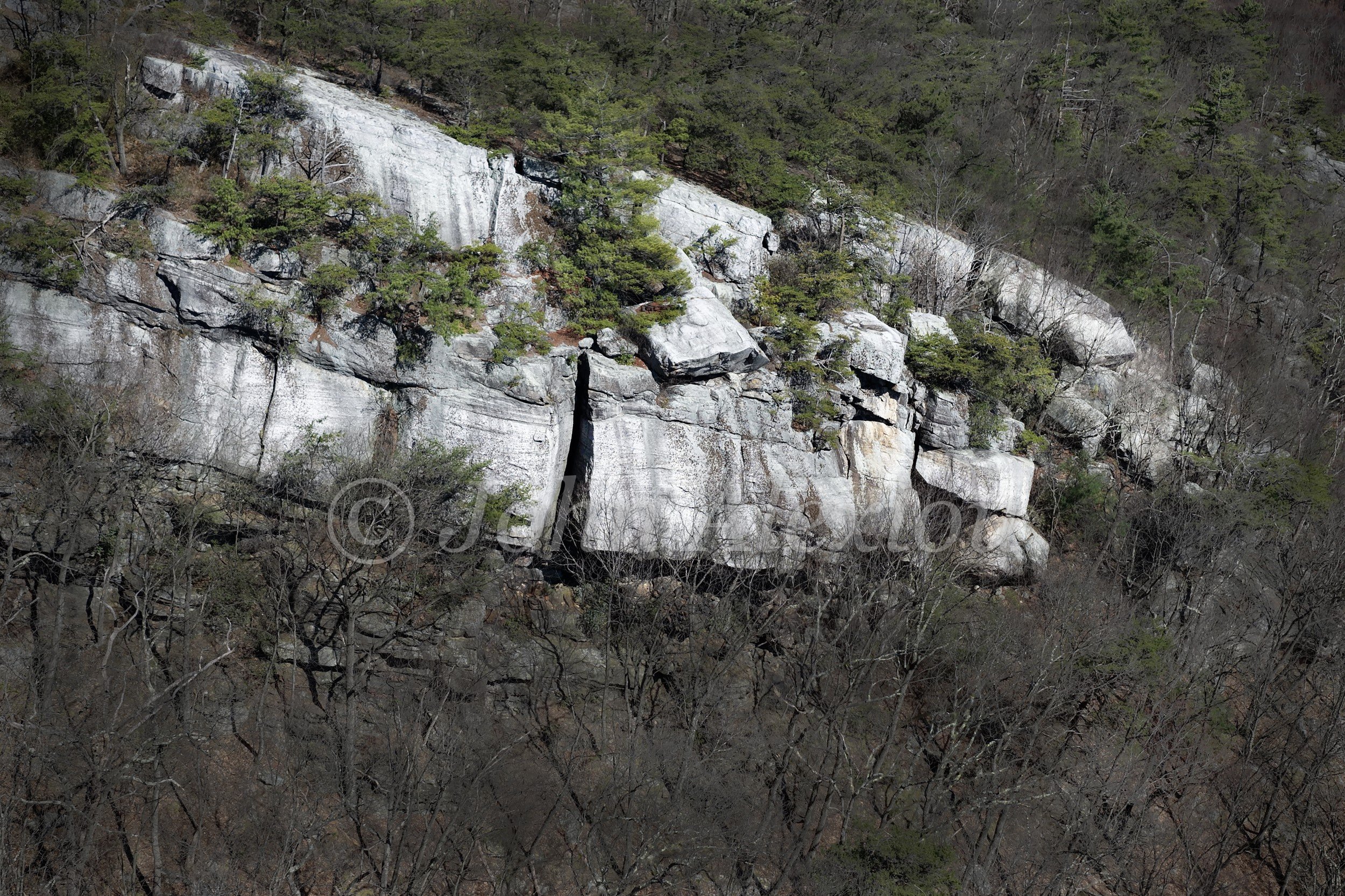 12 · Roots and Rock: Trees grow above and around the fractured pale stone of an exposed cliff.

© John Alexiou · 2025 · Mocanaqua