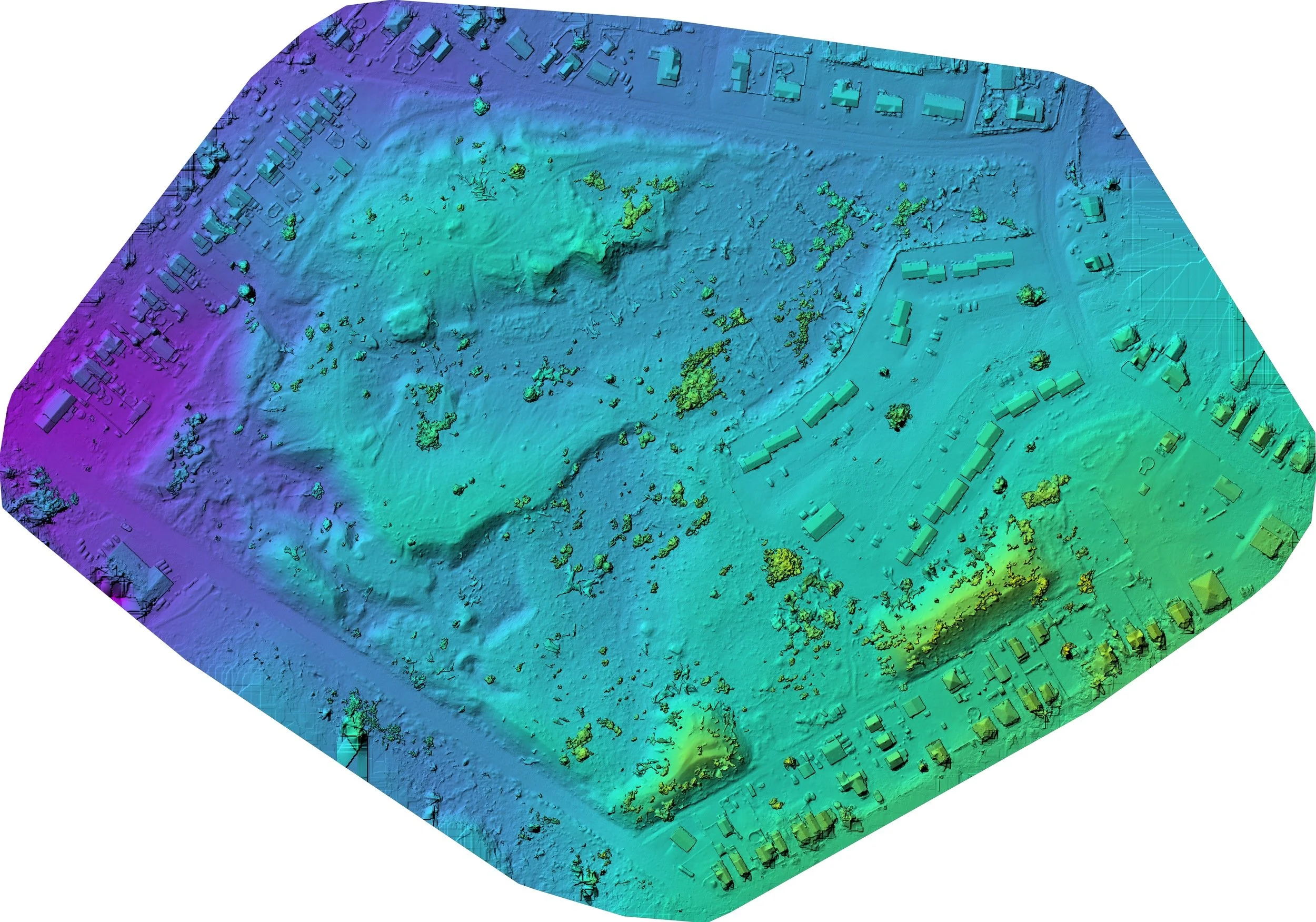 02 | Digital Surface Model
A colorized surface model shows the relative elevation of visible terrain, buildings, and vegetation.