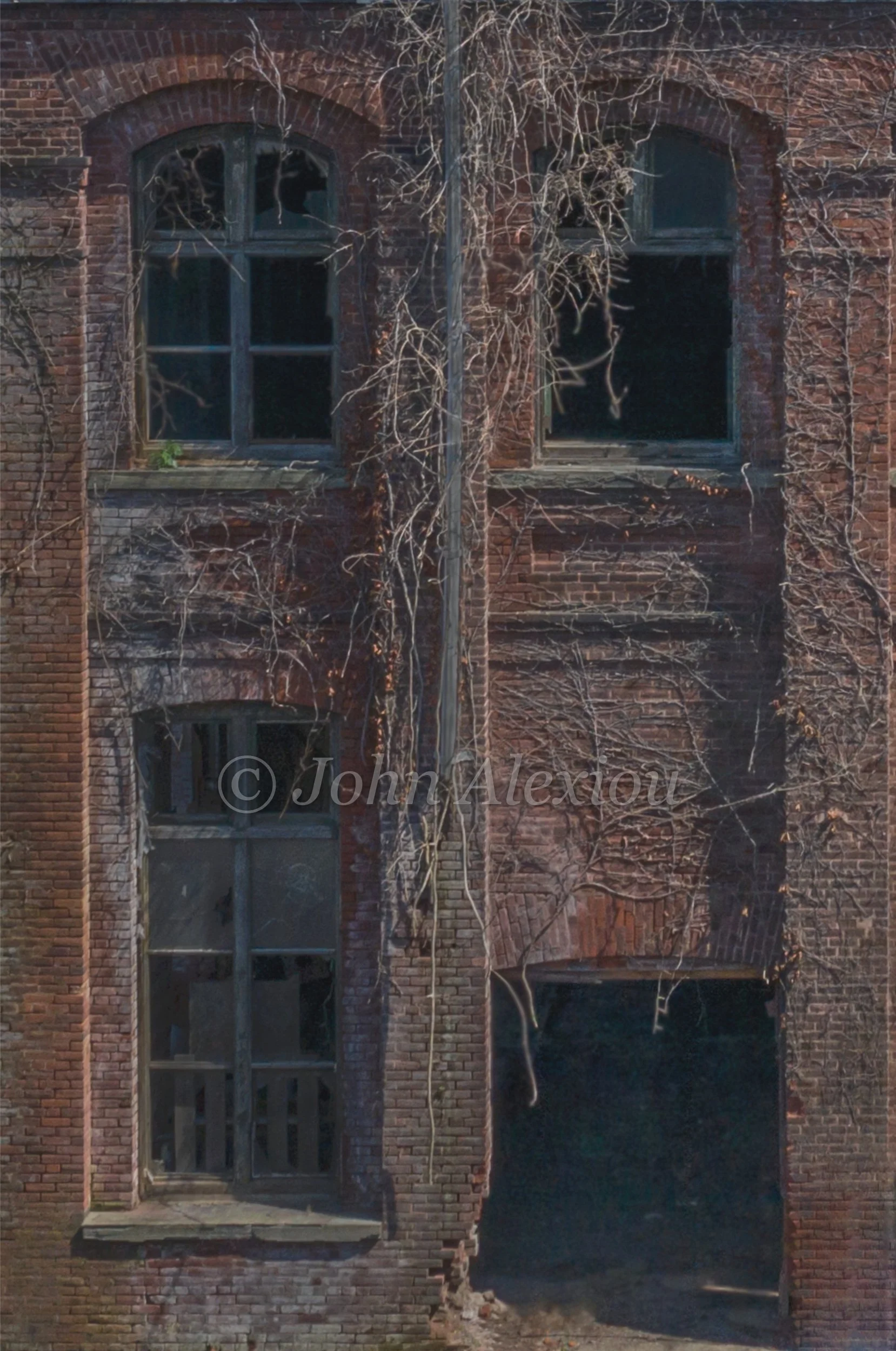 11 · Time on the Brick
Bare vines trail down weathered brick between tall, dark arched windows.
© John Alexiou · 2019 · Scranton Lace Company