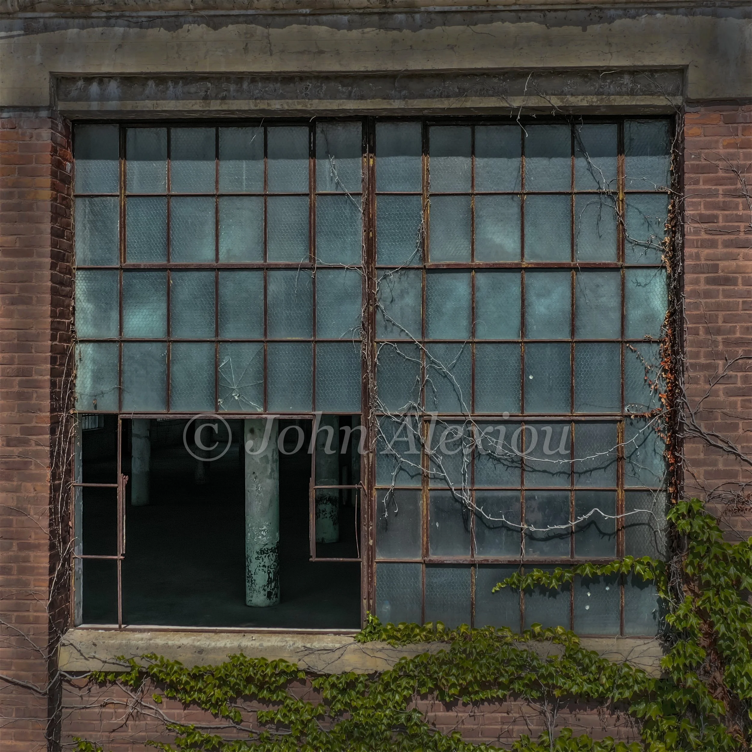 10 · The Green Finds a Way
Vines climb beside a large factory window, reaching toward the open space below it.
© John Alexiou · 2019 · Scranton Lace Company