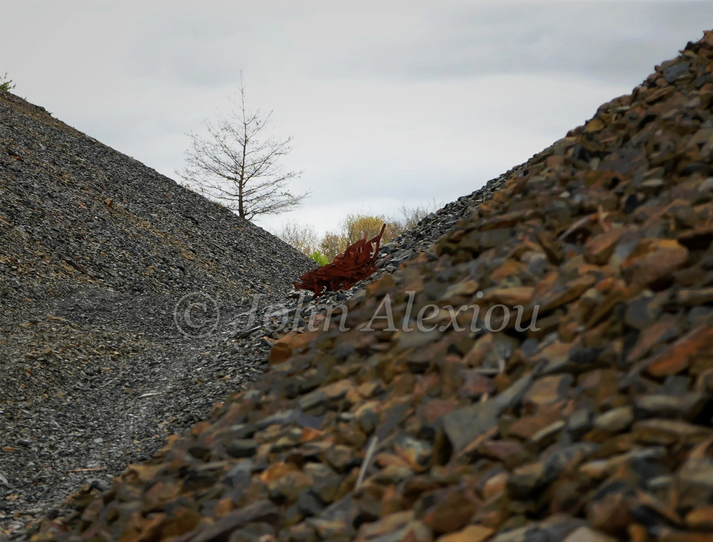 04 · A Foothold: A solitary young tree stands beyond loose rock on the old mining landscape.

© John Alexiou · 2025 · Mocanaqua