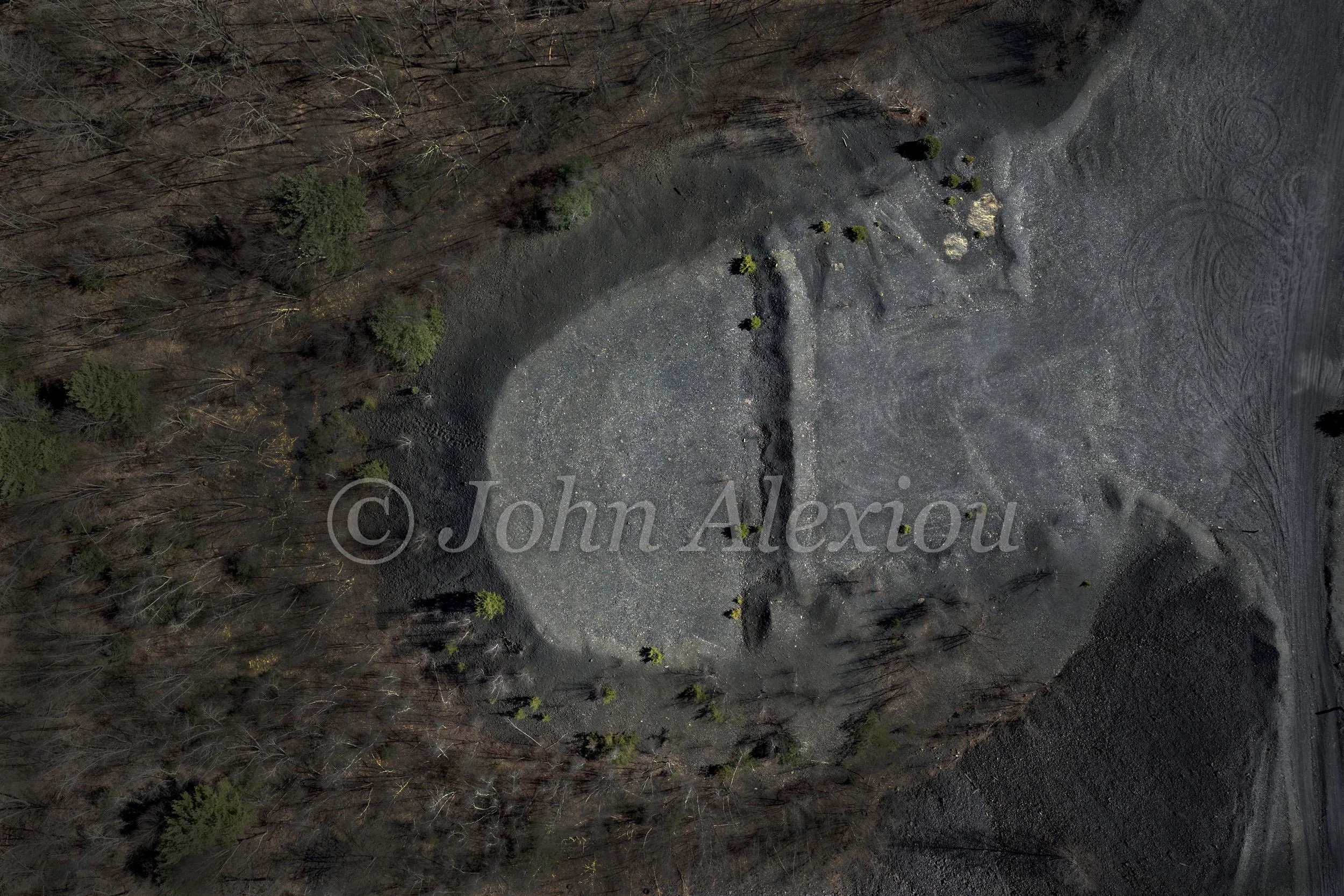 07 · At the Edge of the Woods: A rounded mining waste bank meets woodland, with scattered young trees along its edge.

© John Alexiou · 2025 · Mocanaqua