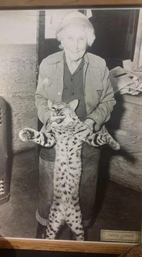 Nettie Connett - A Lady In Loggers Clothing