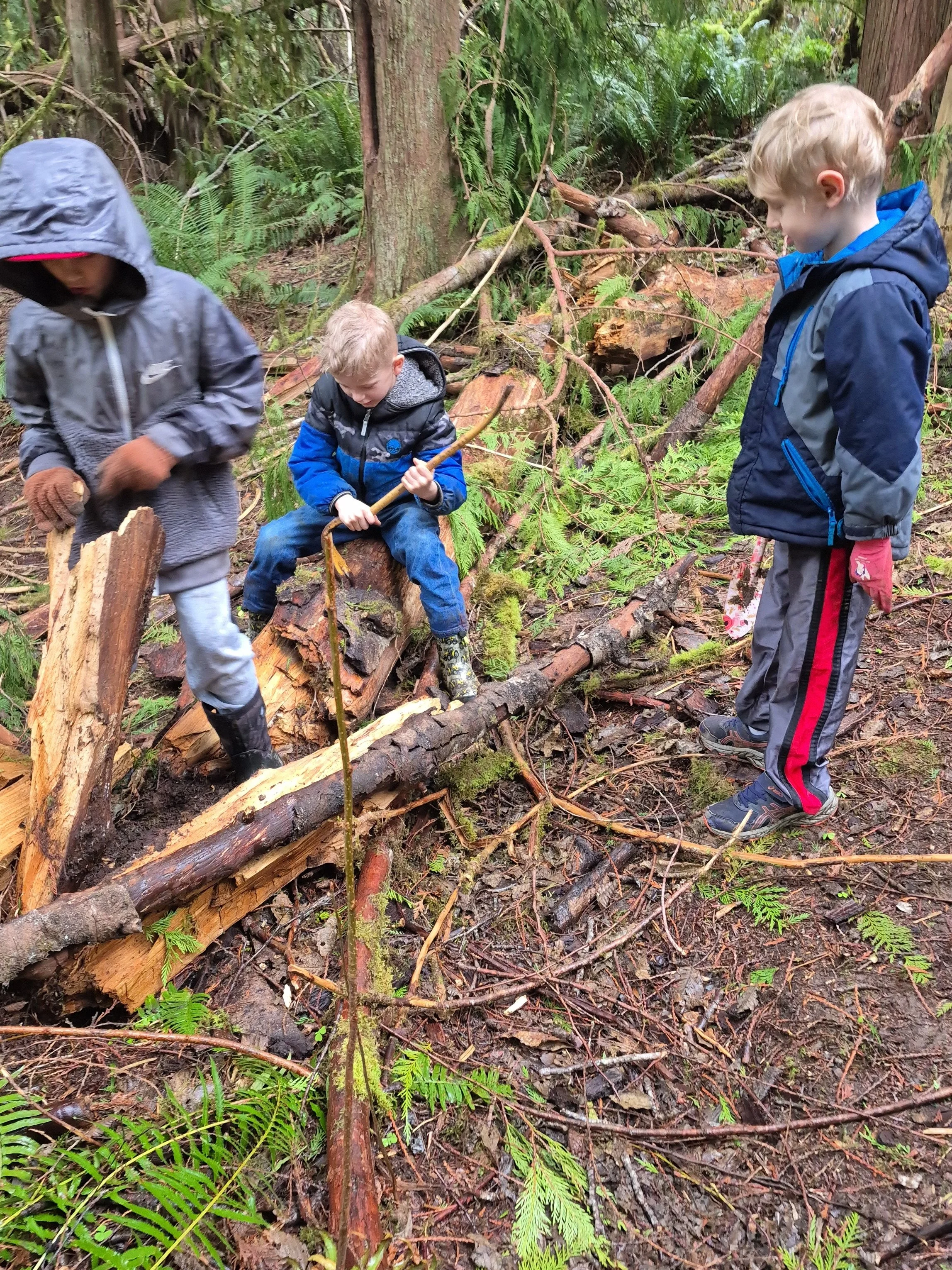 Boys in the Woods.jpg