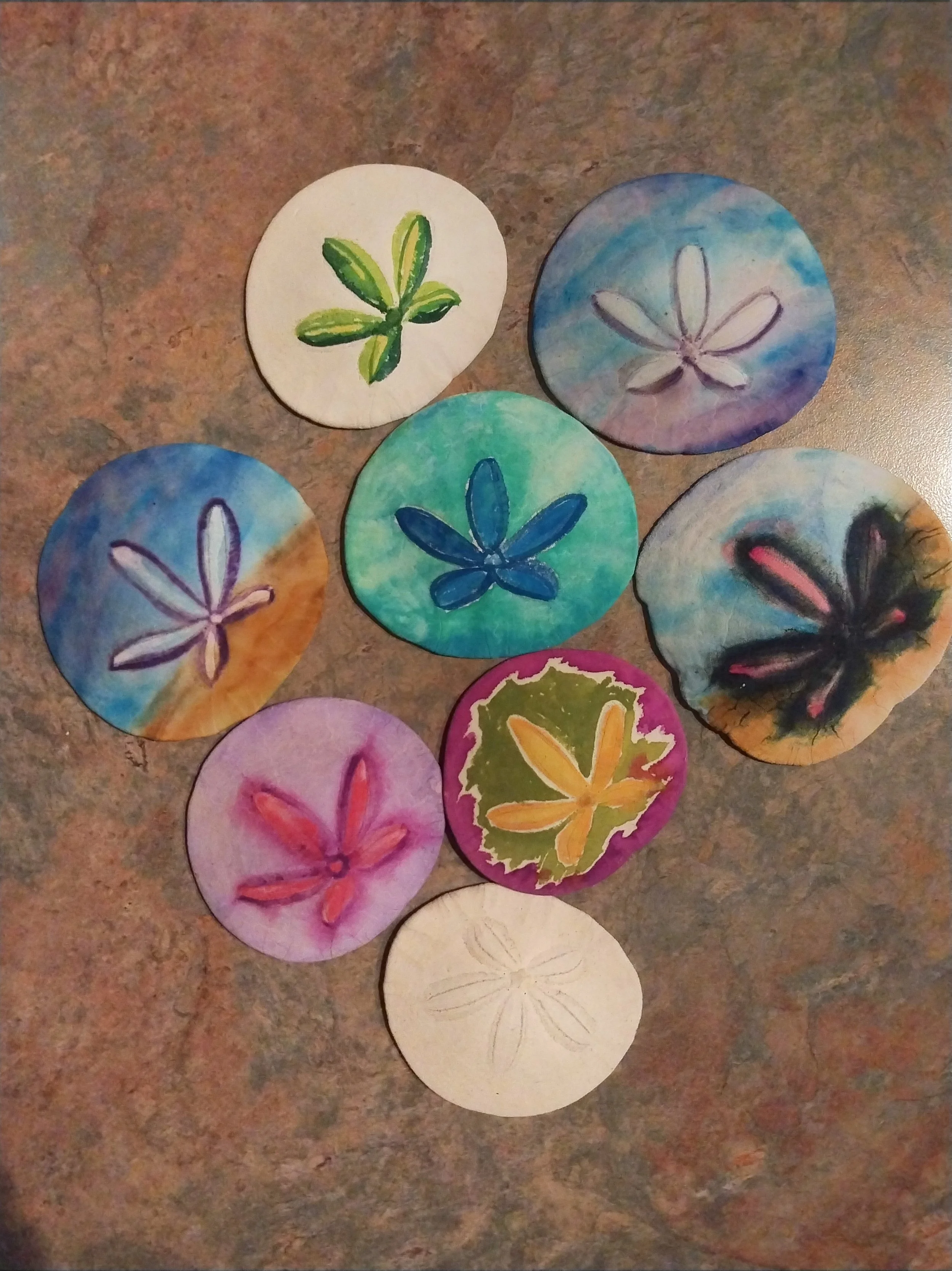 Sand Dollar Watercolor.jpg