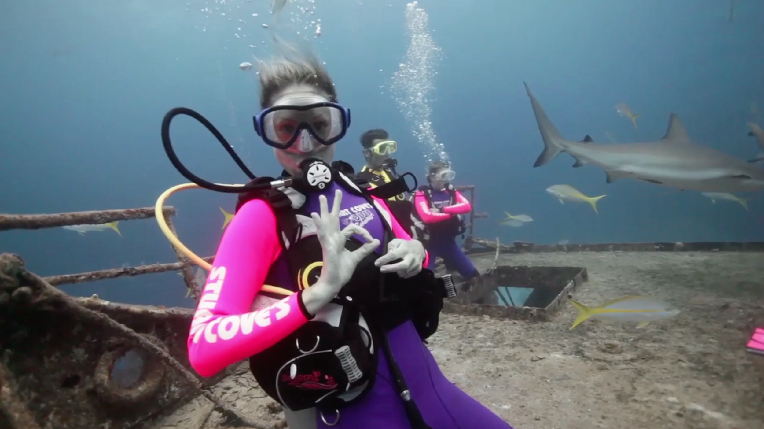 HOSTING_ Shark.png