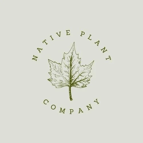 🌿 Native Plant Company LLC
 Native plants for healthy landscapes and thriving wildlife 🌼
Native Plant Company LLC offers a wide range of locally grown native trees, shrubs, and perennials &mdash; perfect for creating vibrant, sustainable gardens an