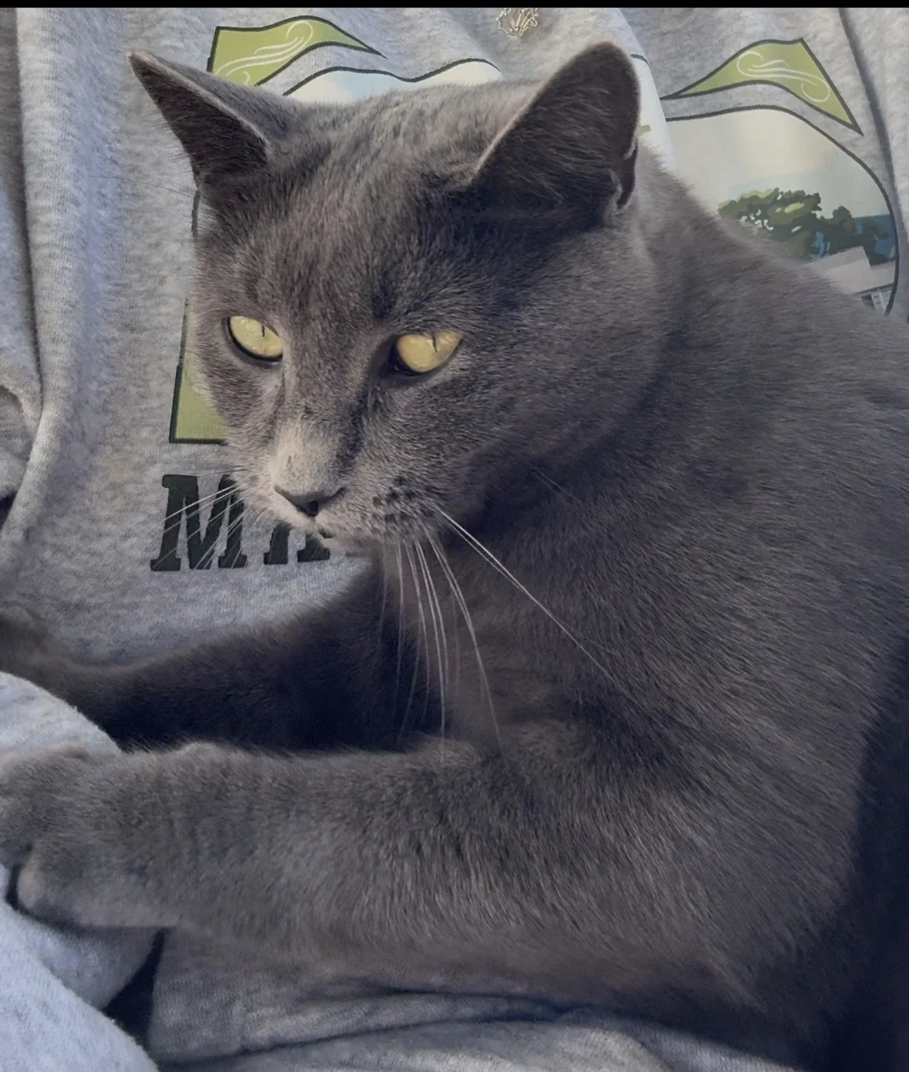 We’re kicking off Cleo Week here at Clermont! 🐾
Meet Miss Cleo — our fearless farm cat, part-time mouser, full-time queen of the farm. 👑 She’s been holding down the fort here at Clermont, greeting guests, keeping the farm mouse-fr