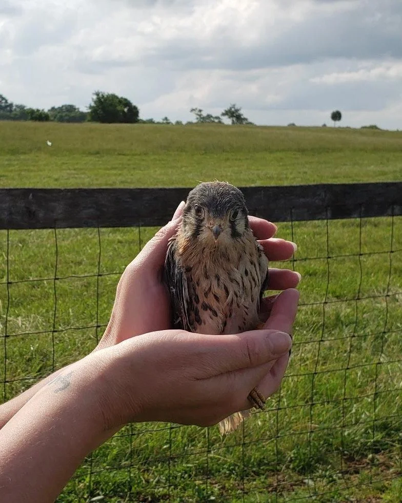 🎉✨ What a Year! Thank YOU! ✨🎉

2025 was an absolute blast here at Clermont, and it&rsquo;s all thanks to YOU! 💛
From curious first-timers to our loyal returning friends, every visitor helped make this year unforgettable.

You filled our 3rd Saturd