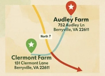 🎄 Make It a Two-Stop Historic Holiday Day! 🎄

Wrapping up your visit to Audley Farm Angus Christmas Market at 1:00 PM? Don&rsquo;t head home just yet!

The Clermont Foundation is located directly across Route 7 from Audley and will be hosting our M