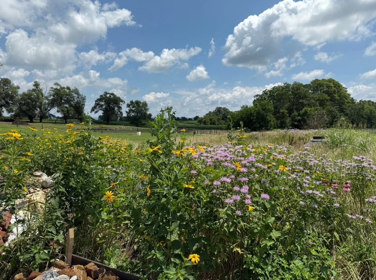 3rd Saturday - Conservation Efforts Tour