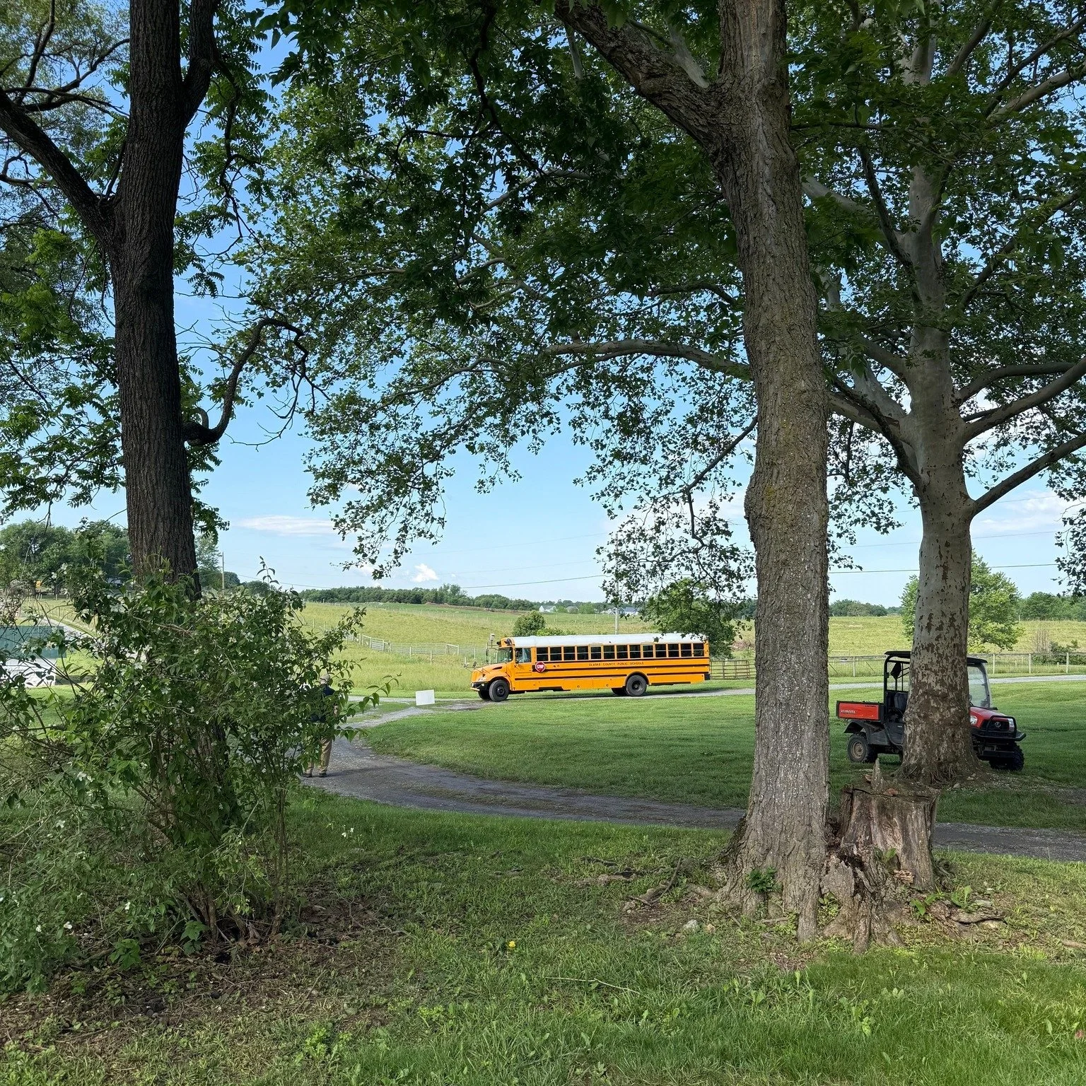🐑🌾 Learning Beyond the Classroom at Clermont Farm! 🌾🐑

Yesterday, we had the pleasure of welcoming the Johnson-Williams Middle School 8th Grade AG class to Clermont Farm for a hands-on lesson all about sheep and livestock farming!

Students had t