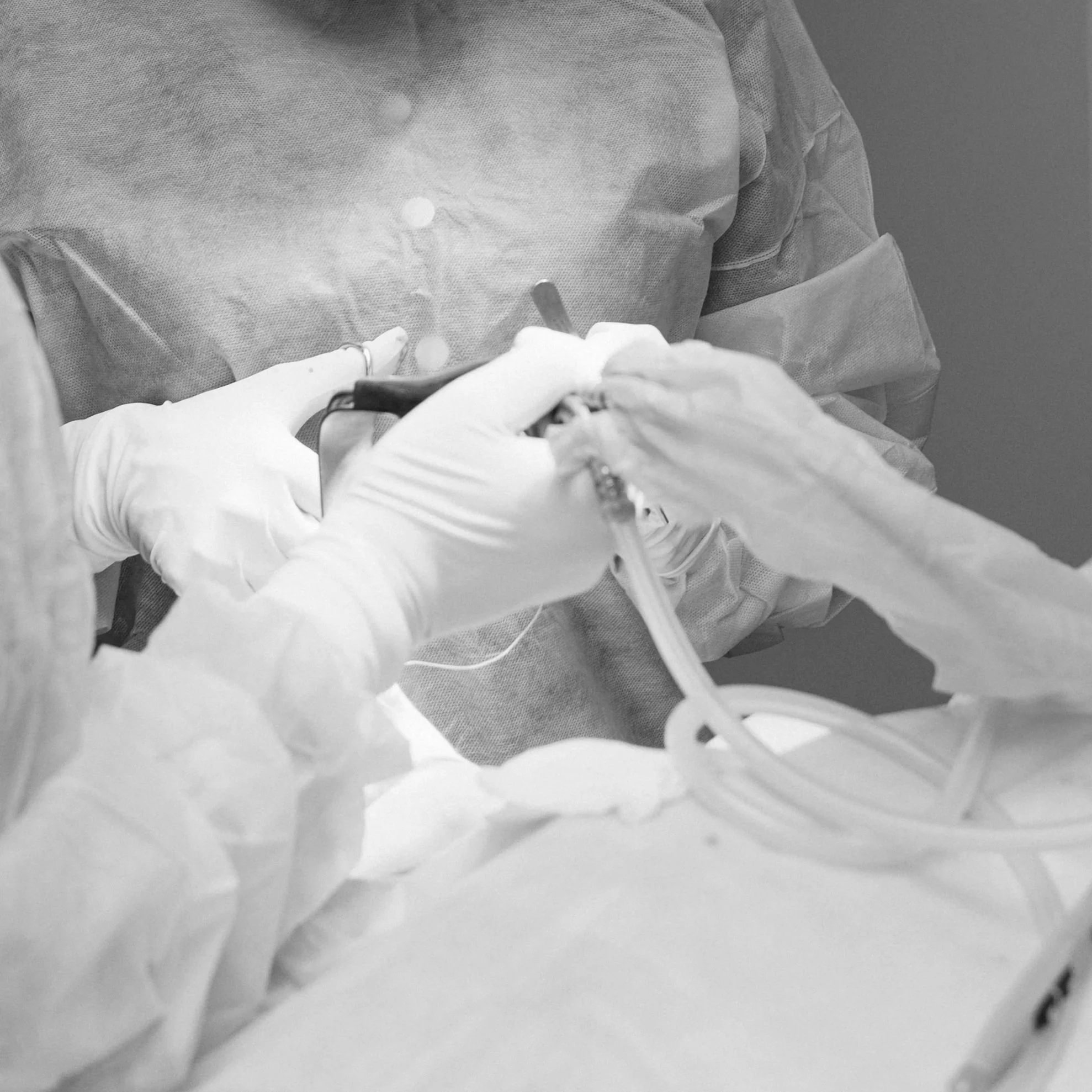 Special Considerations: The Geriatric Patient