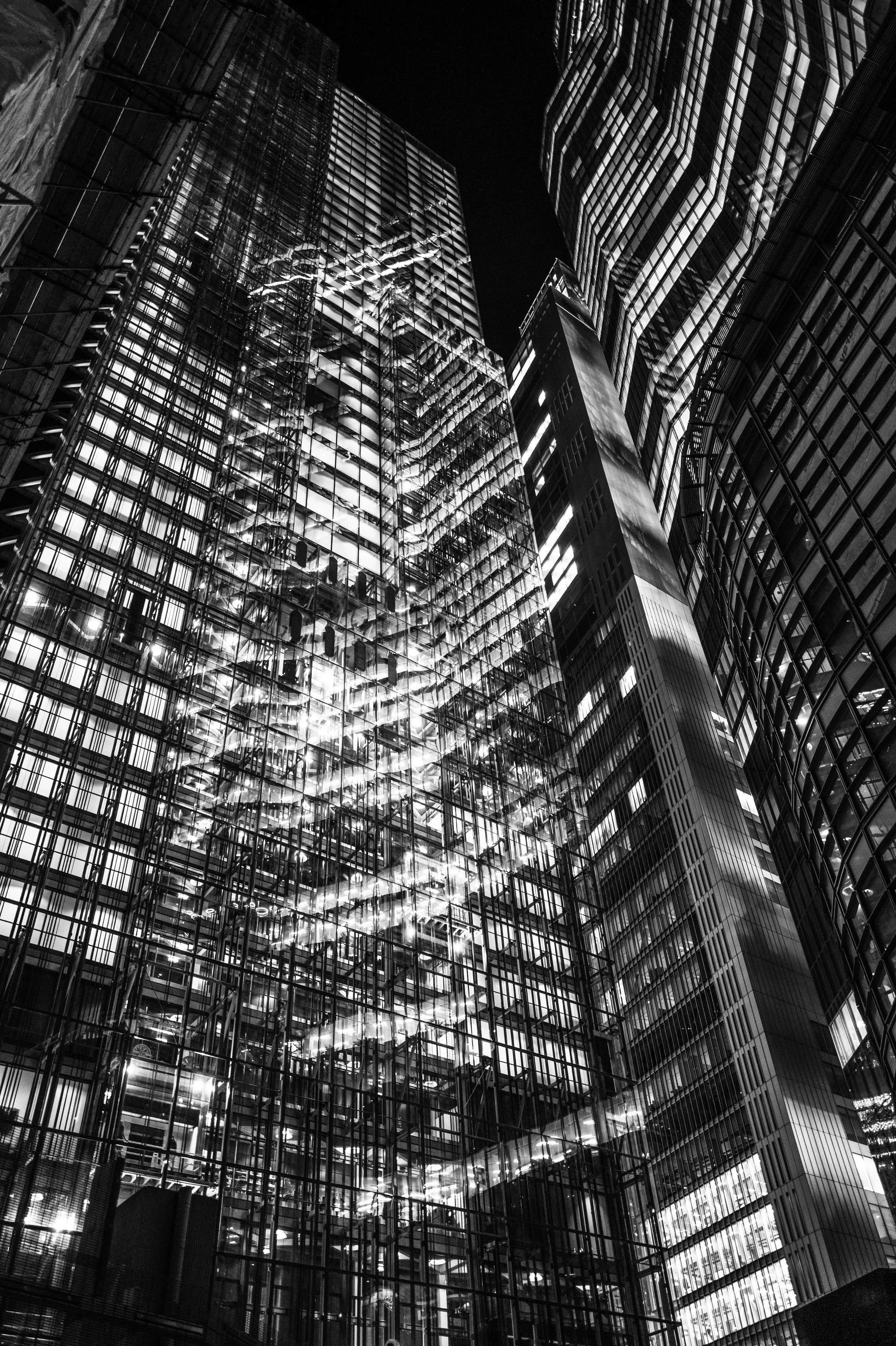 L1002979.jpg